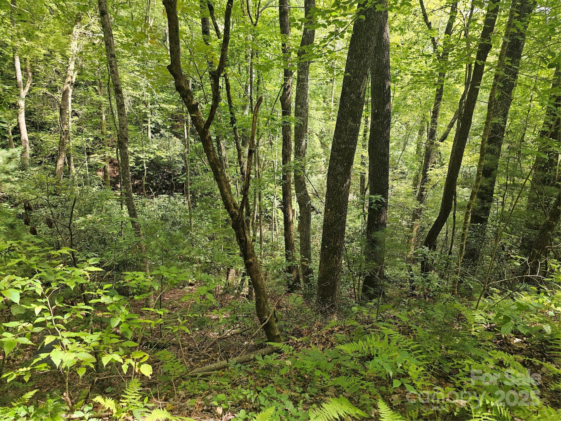 99999 Majestic Trace #25 - Photo 18