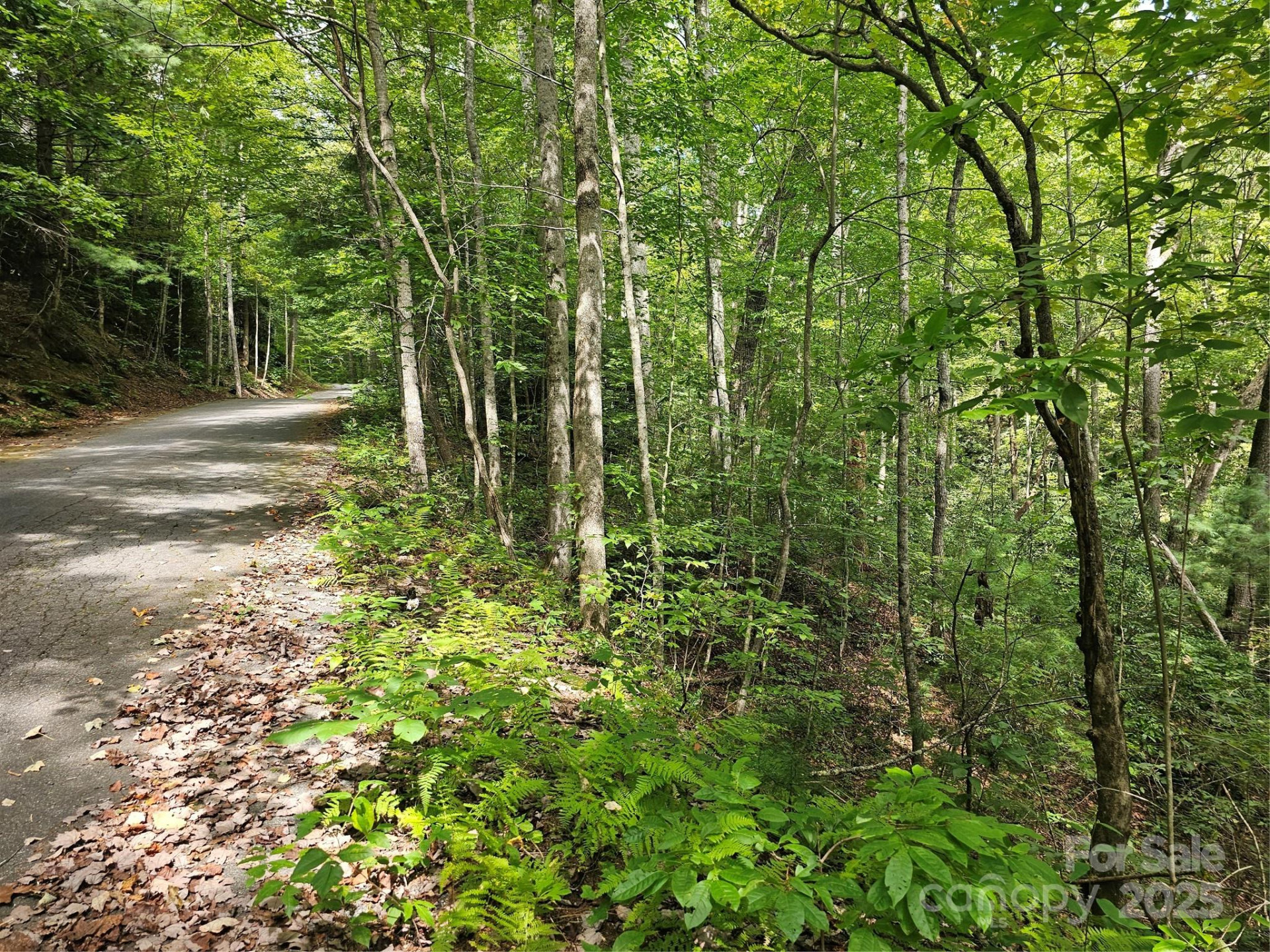 99999 Majestic Trace #25 - Photo 19