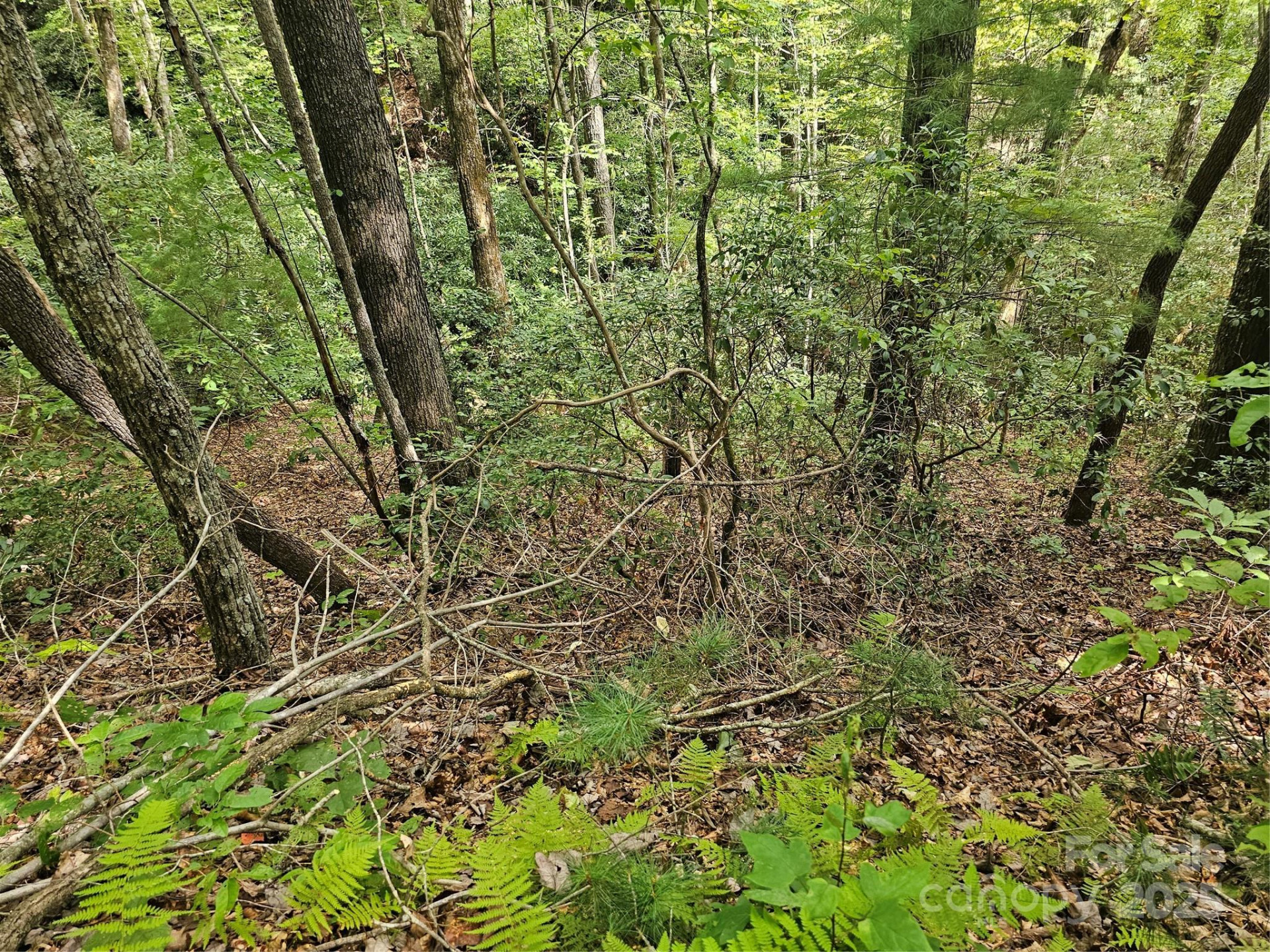 99999 Majestic Trace #25 - Photo 20