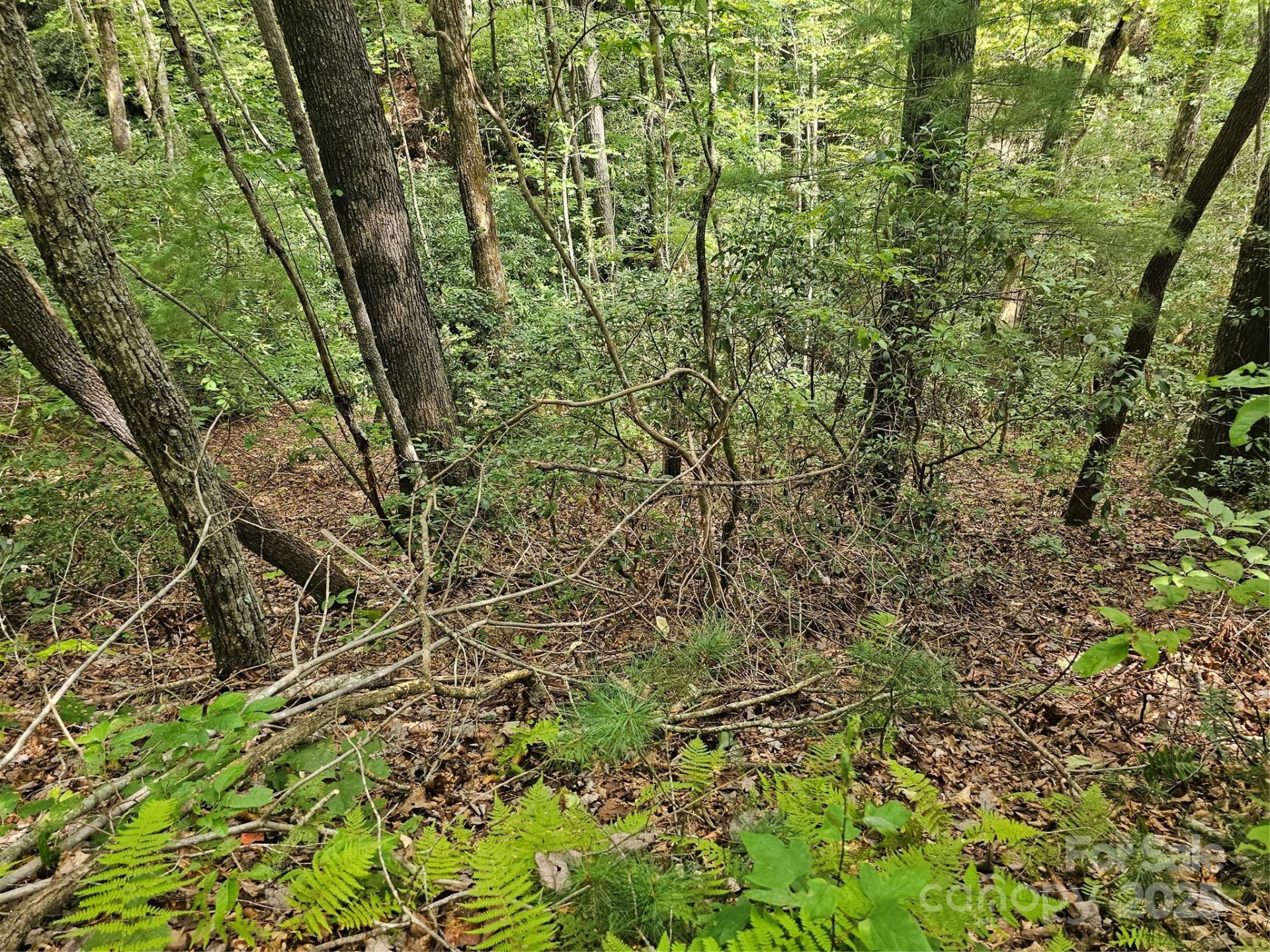 99999 Majestic Trace #25 - Photo 20
