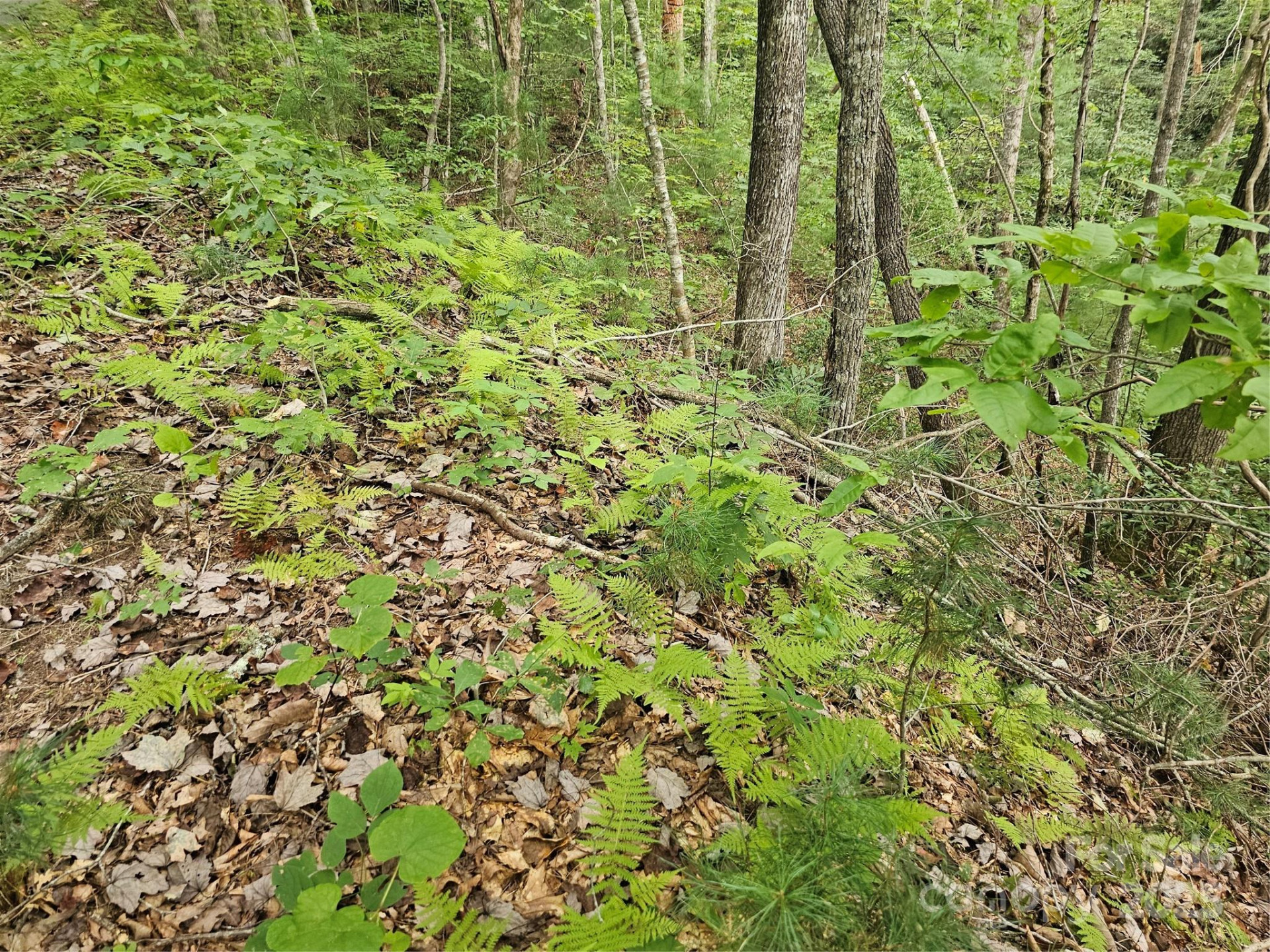 99999 Majestic Trace #25 - Photo 21