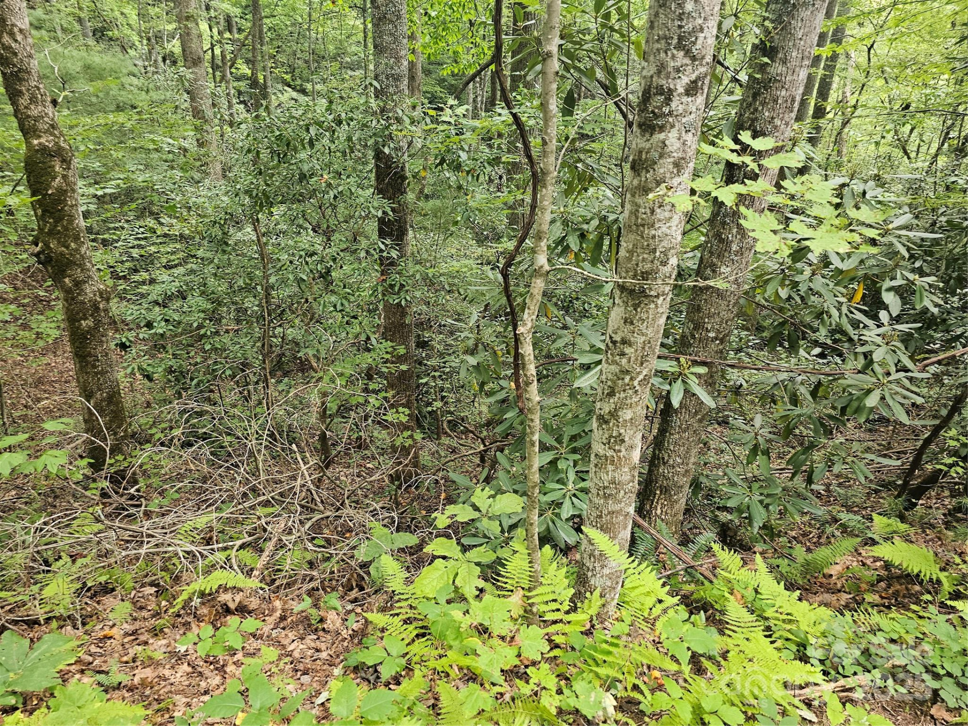 99999 Majestic Trace #25 - Photo 22