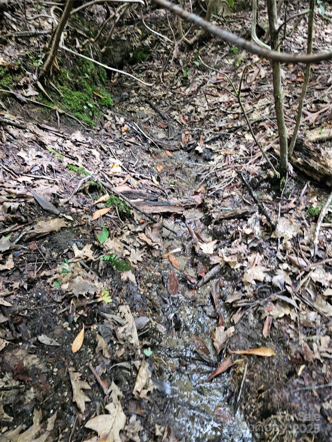 99999 Majestic Trace #25 - Photo 23