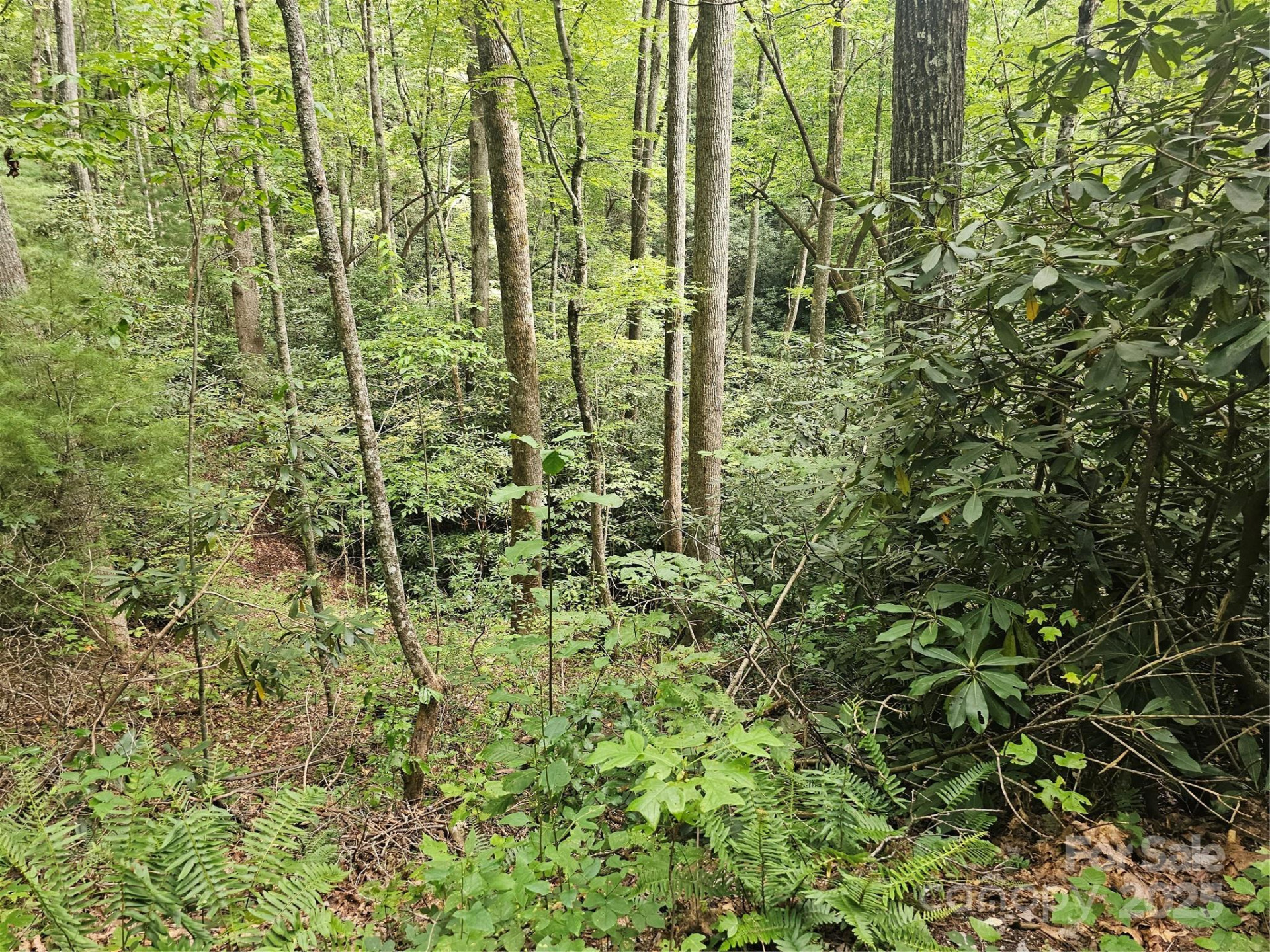 99999 Majestic Trace #25 - Photo 24