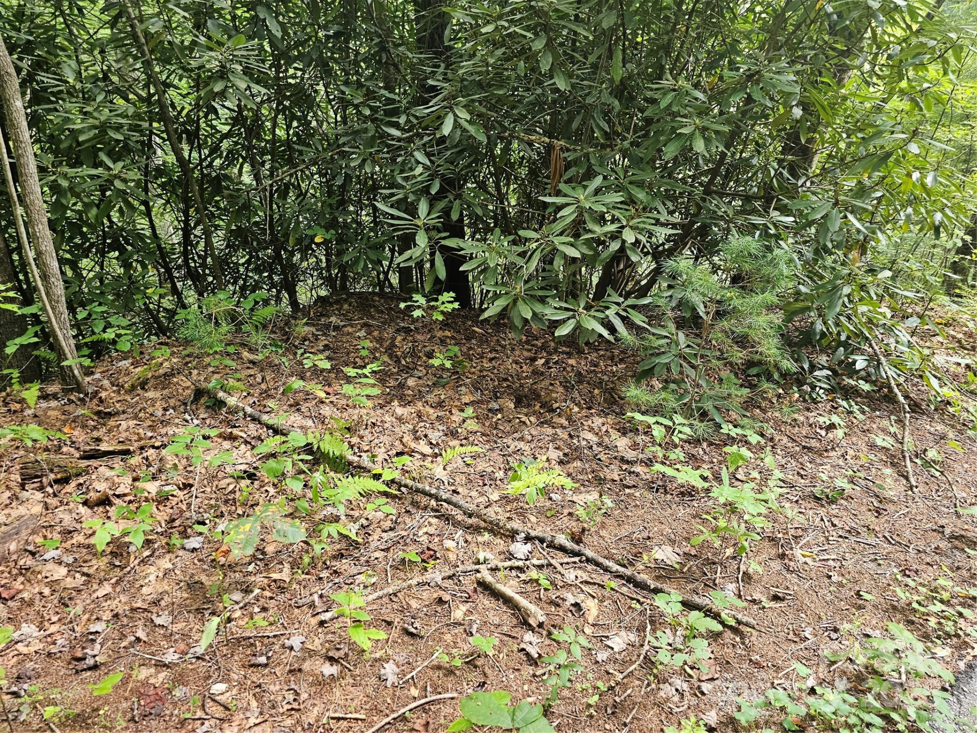 99999 Majestic Trace #25 - Photo 25