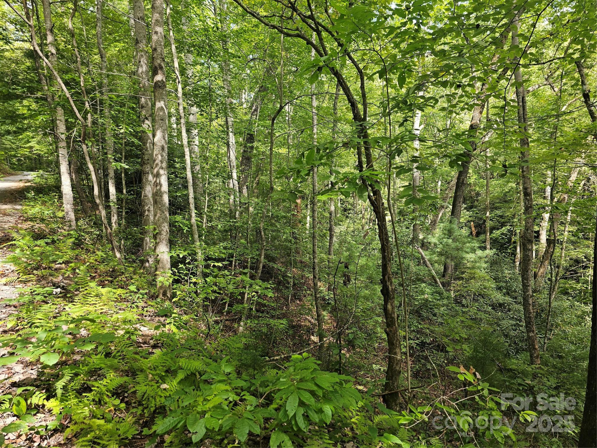 99999 Majestic Trace #25 - Photo 26