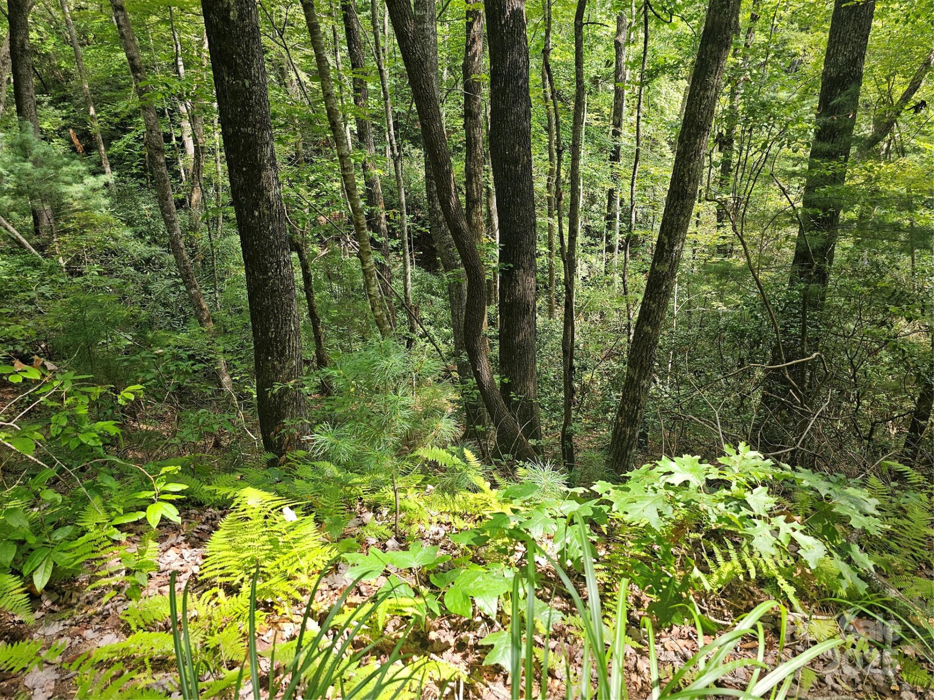 99999 Majestic Trace #25 - Photo 27