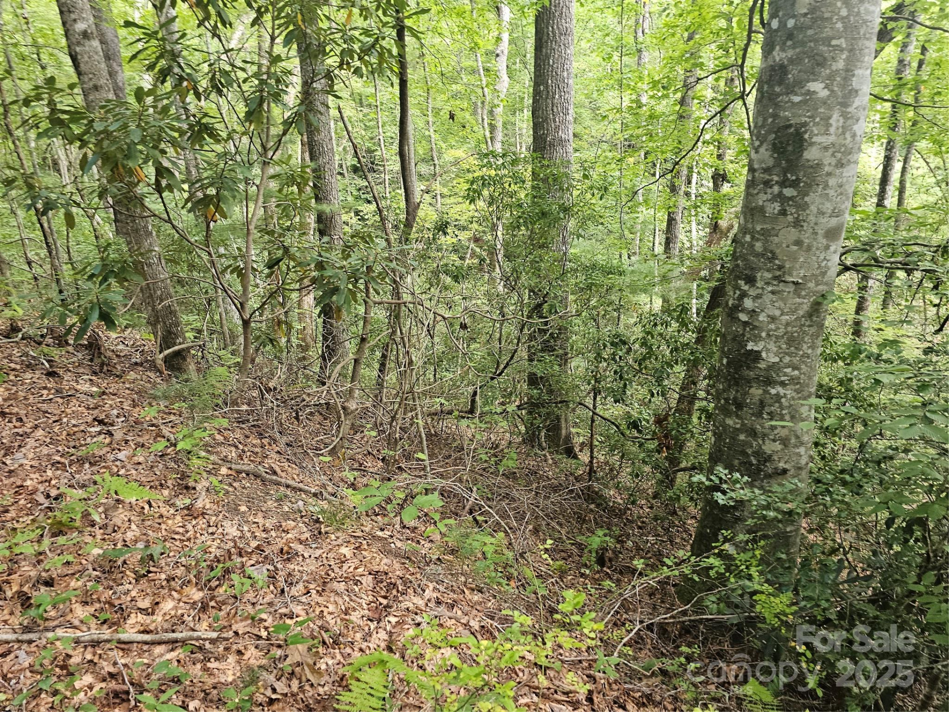 99999 Majestic Trace #25 - Photo 28