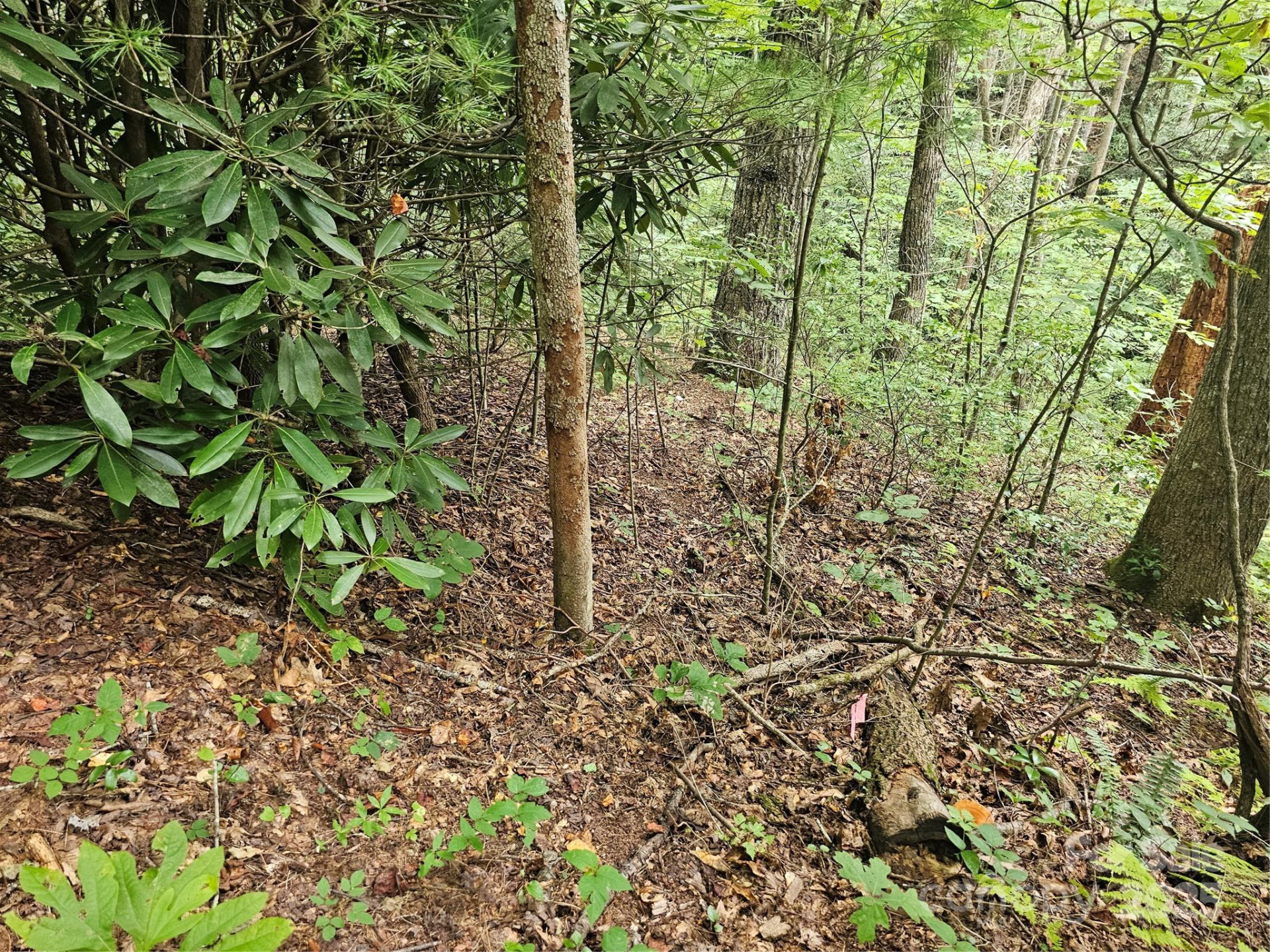 99999 Majestic Trace #25 - Photo 29