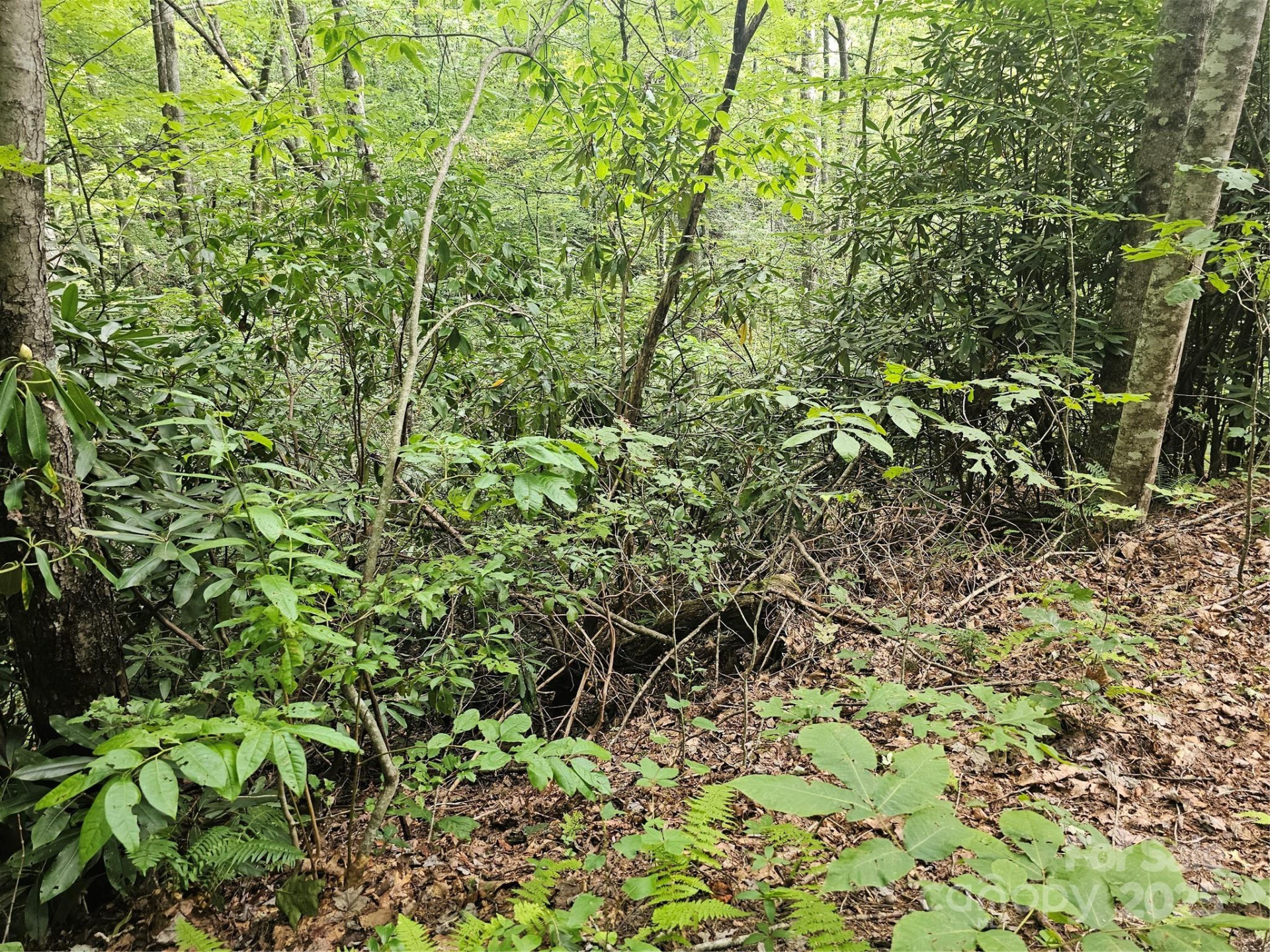 99999 Majestic Trace #25 - Photo 32