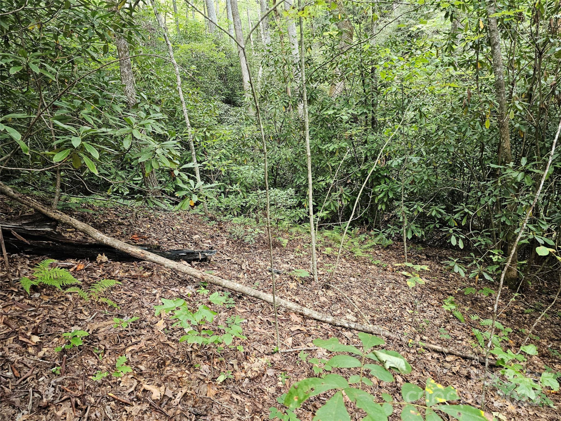 99999 Majestic Trace #25 - Photo 33