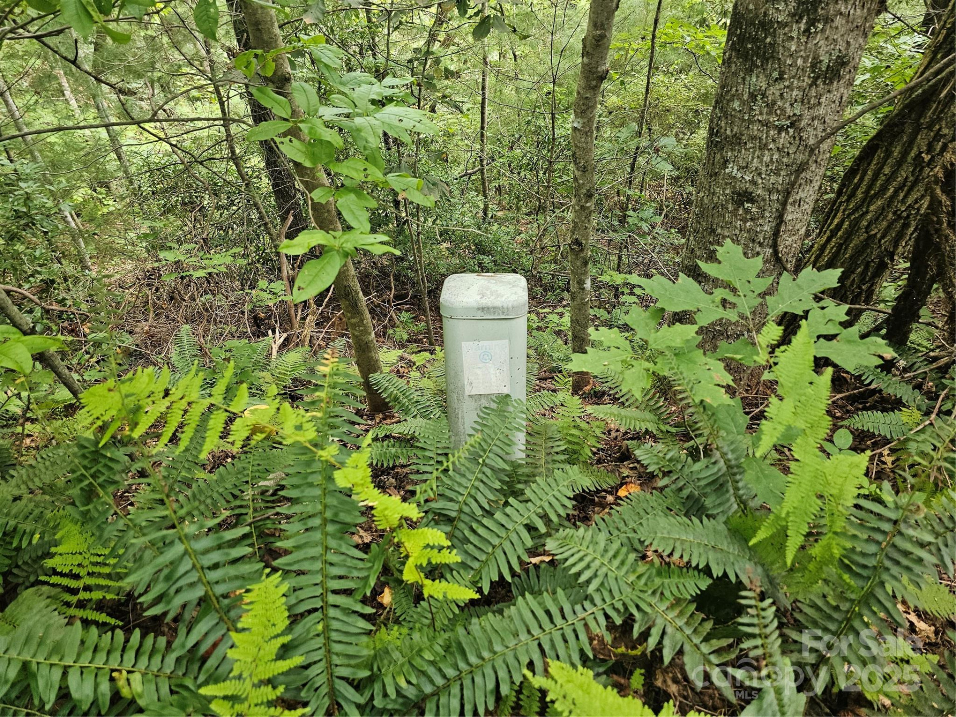 99999 Majestic Trace #25 - Photo 34