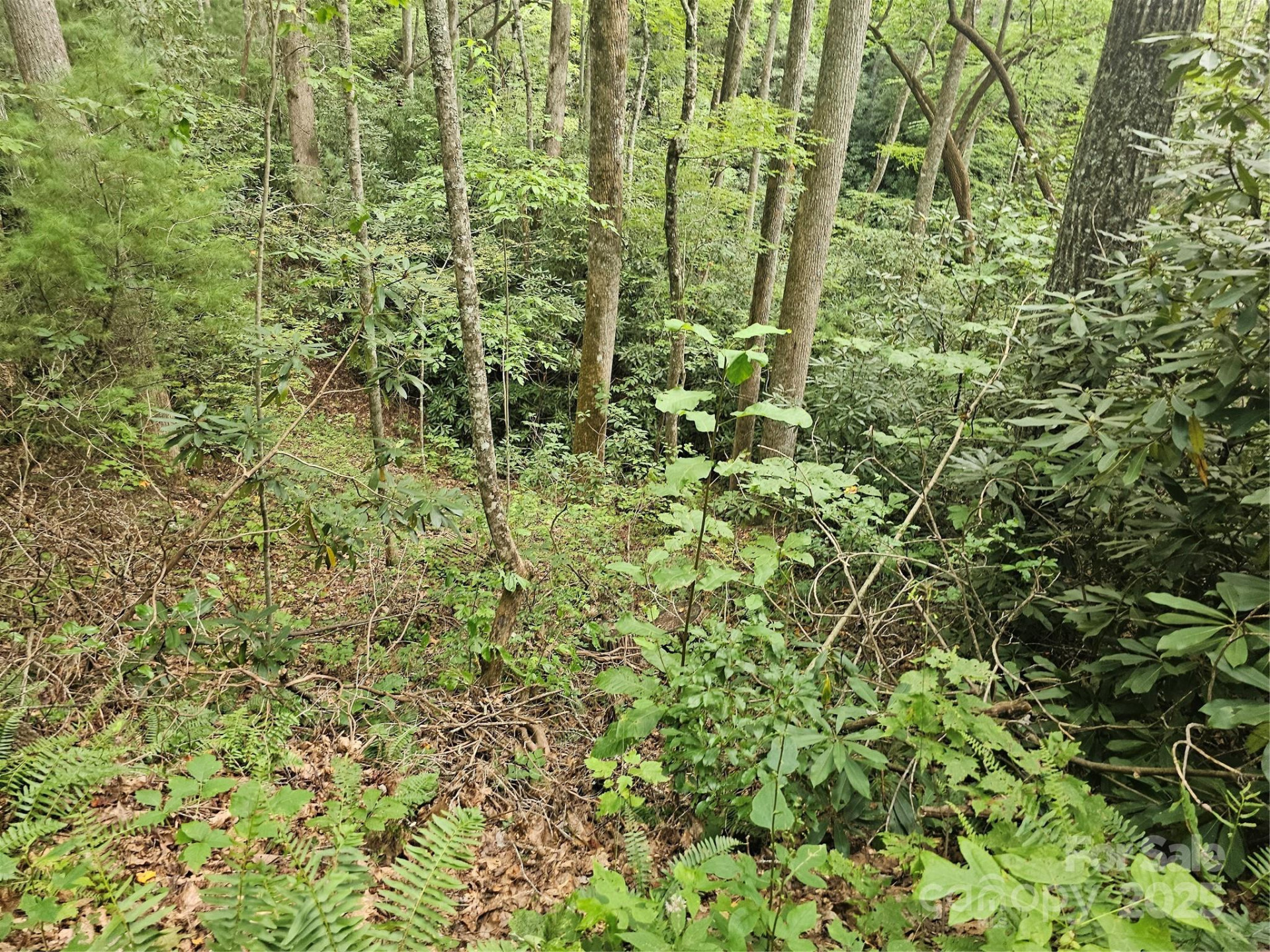 99999 Majestic Trace #25 - Photo 35