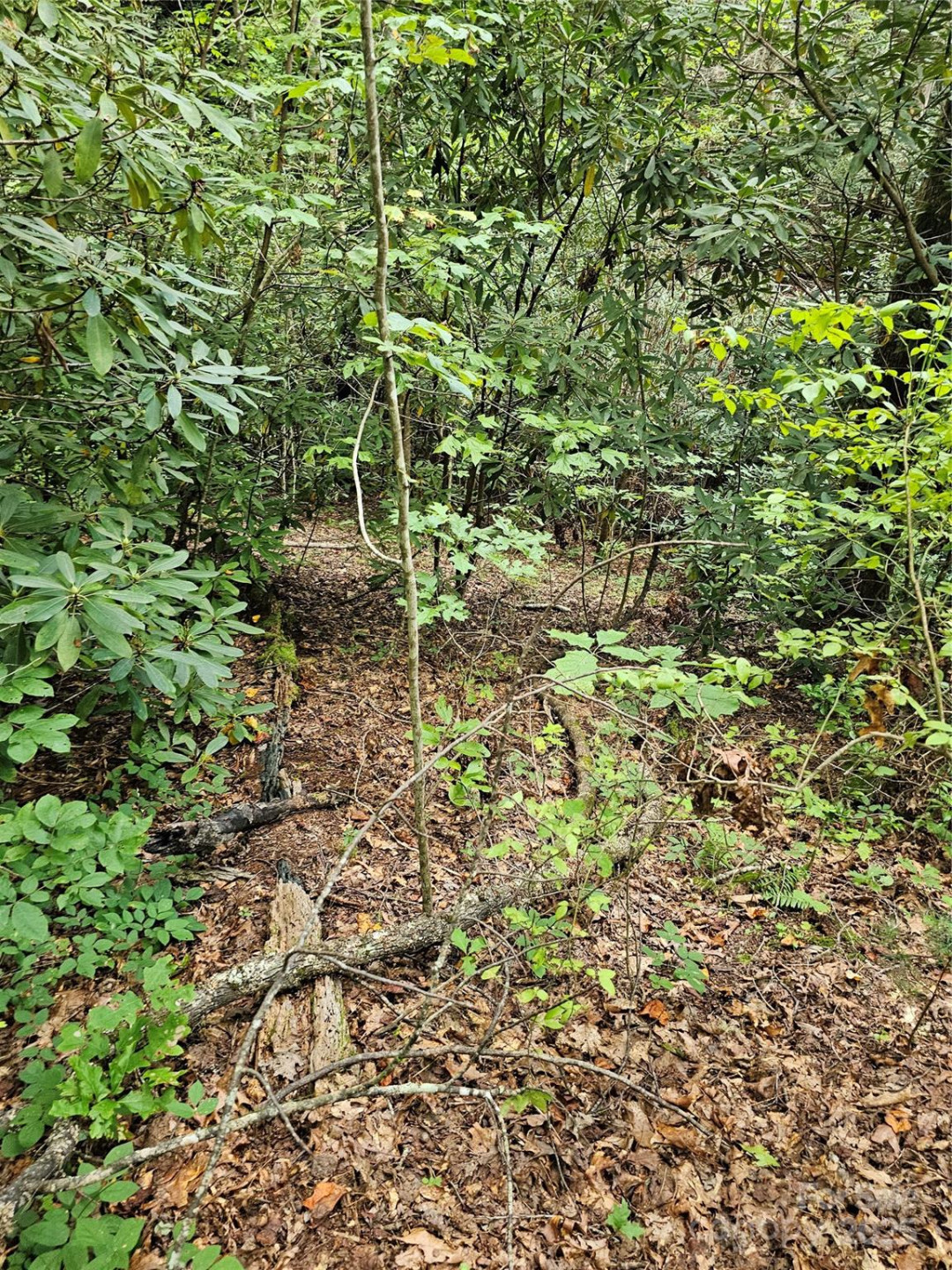 99999 Majestic Trace #25 - Photo 36