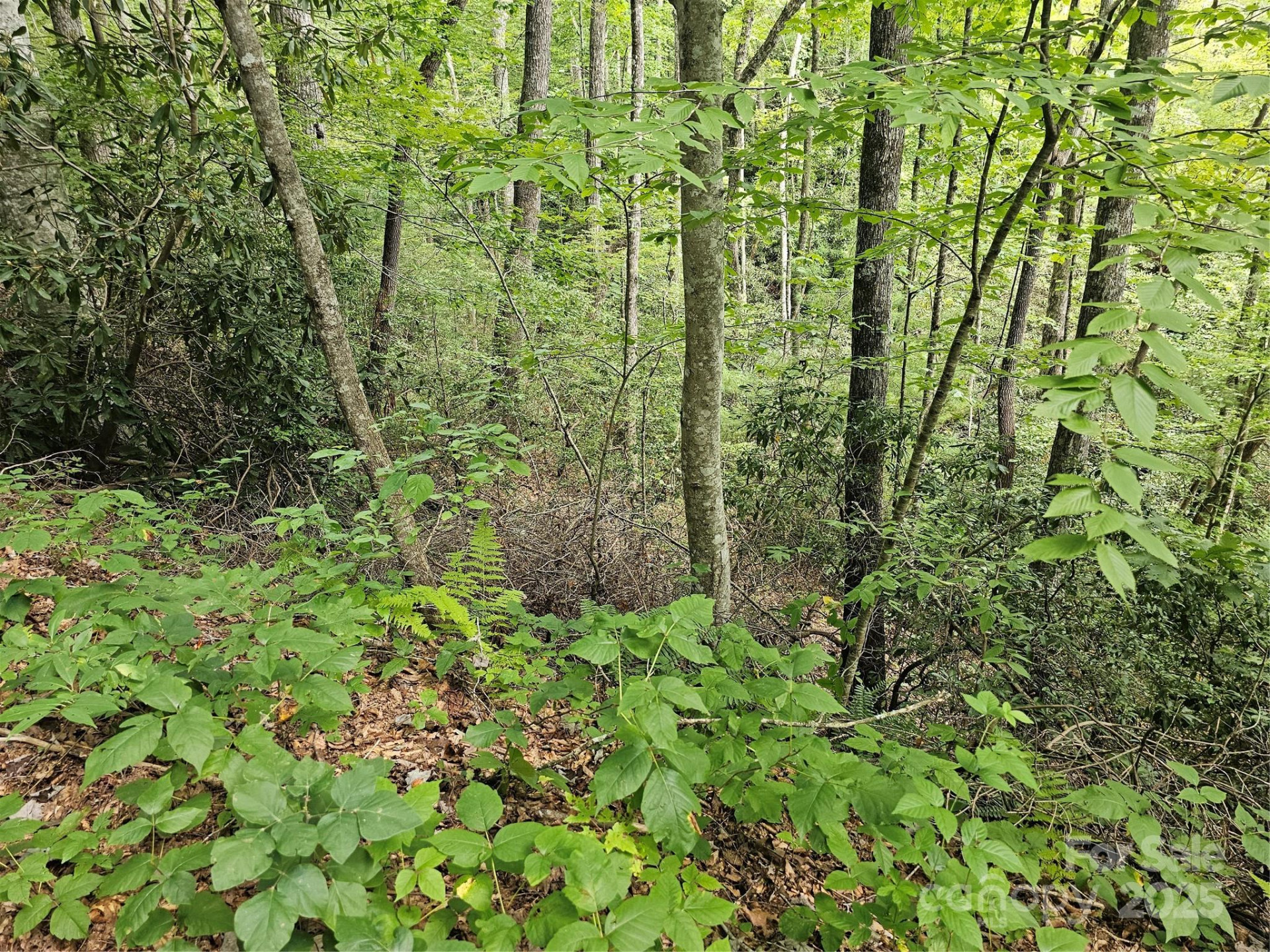 99999 Majestic Trace #25 - Photo 38