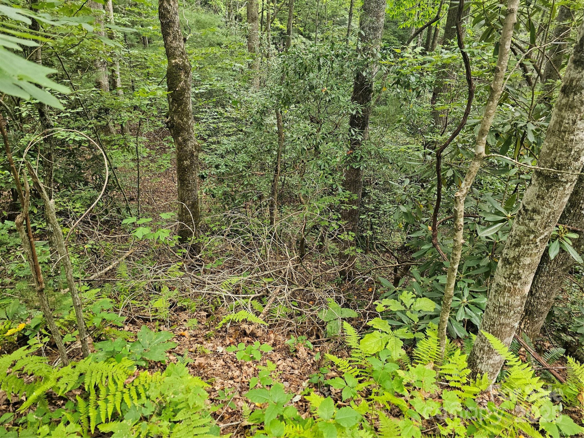 99999 Majestic Trace #25 - Photo 39