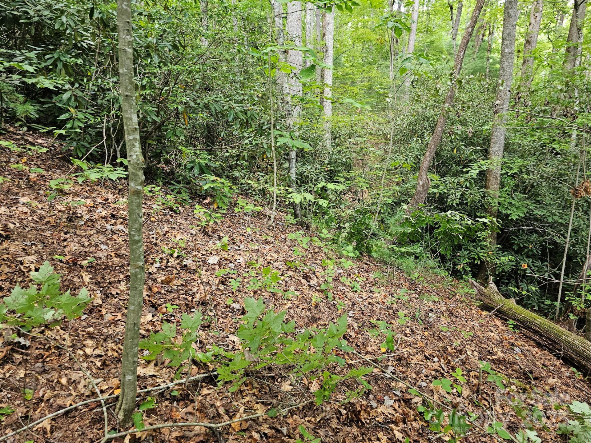 99999 Majestic Trace #25 - Photo 40