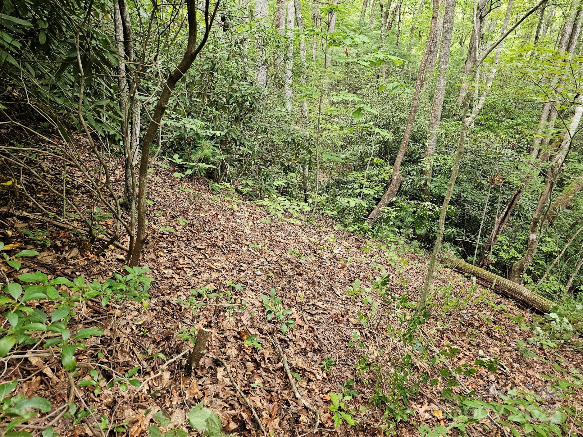 99999 Majestic Trace #25 - Photo 5