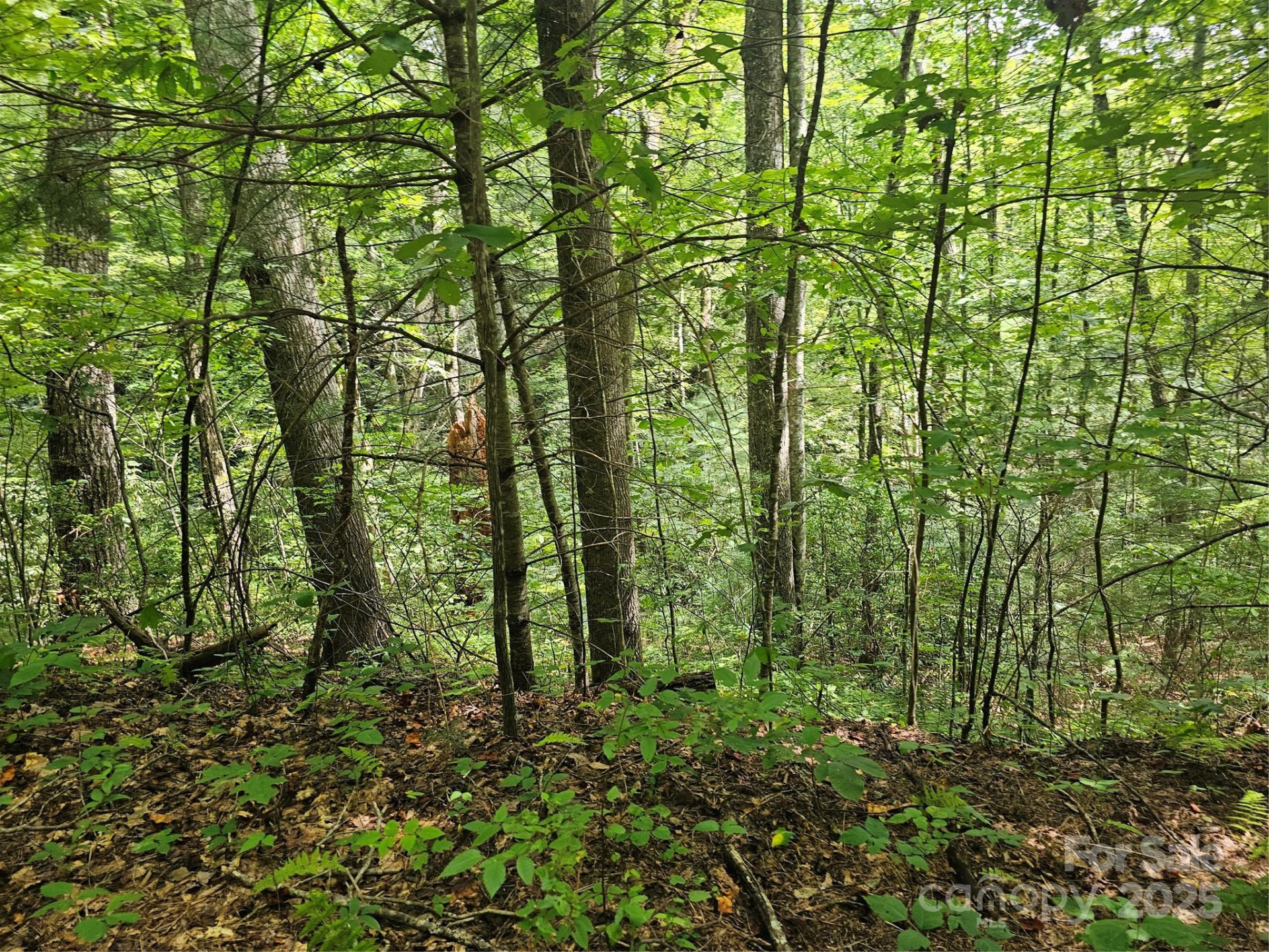 99999 Majestic Trace #25 - Photo 41