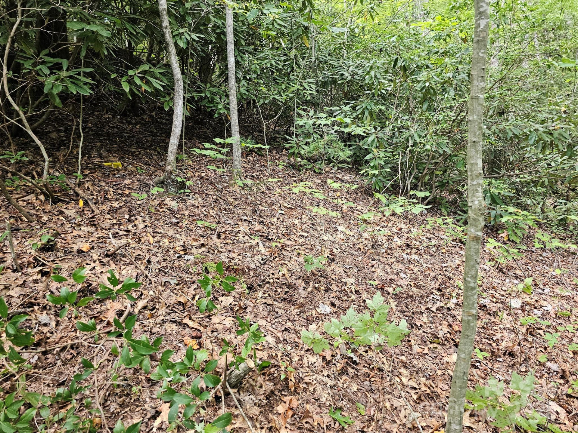 99999 Majestic Trace #25 - Photo 44