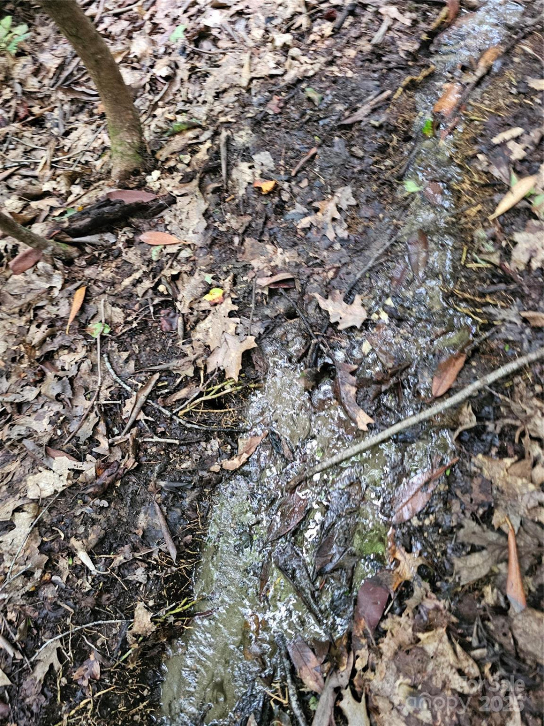 99999 Majestic Trace #25 - Photo 45