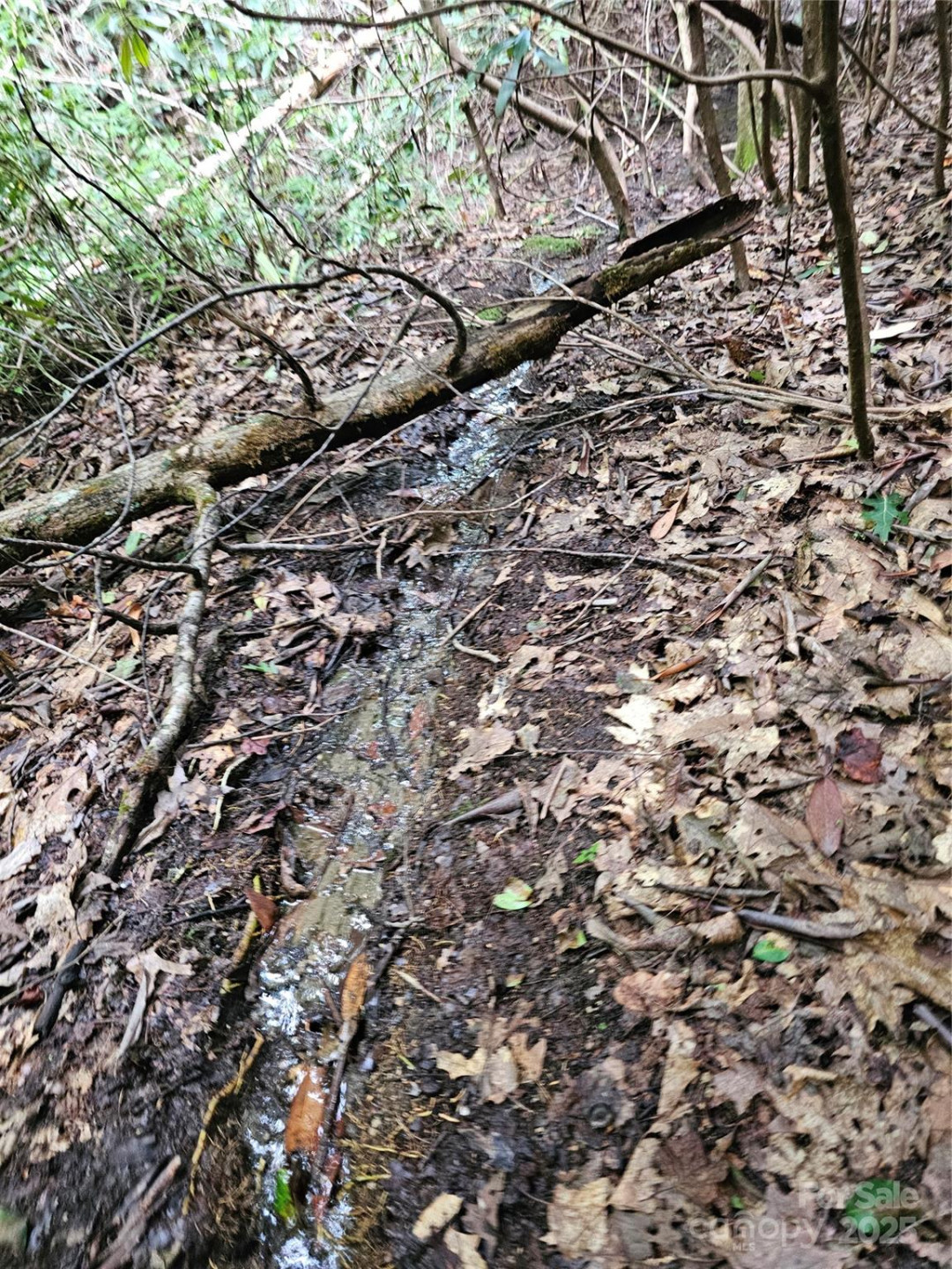 99999 Majestic Trace #25 - Photo 46