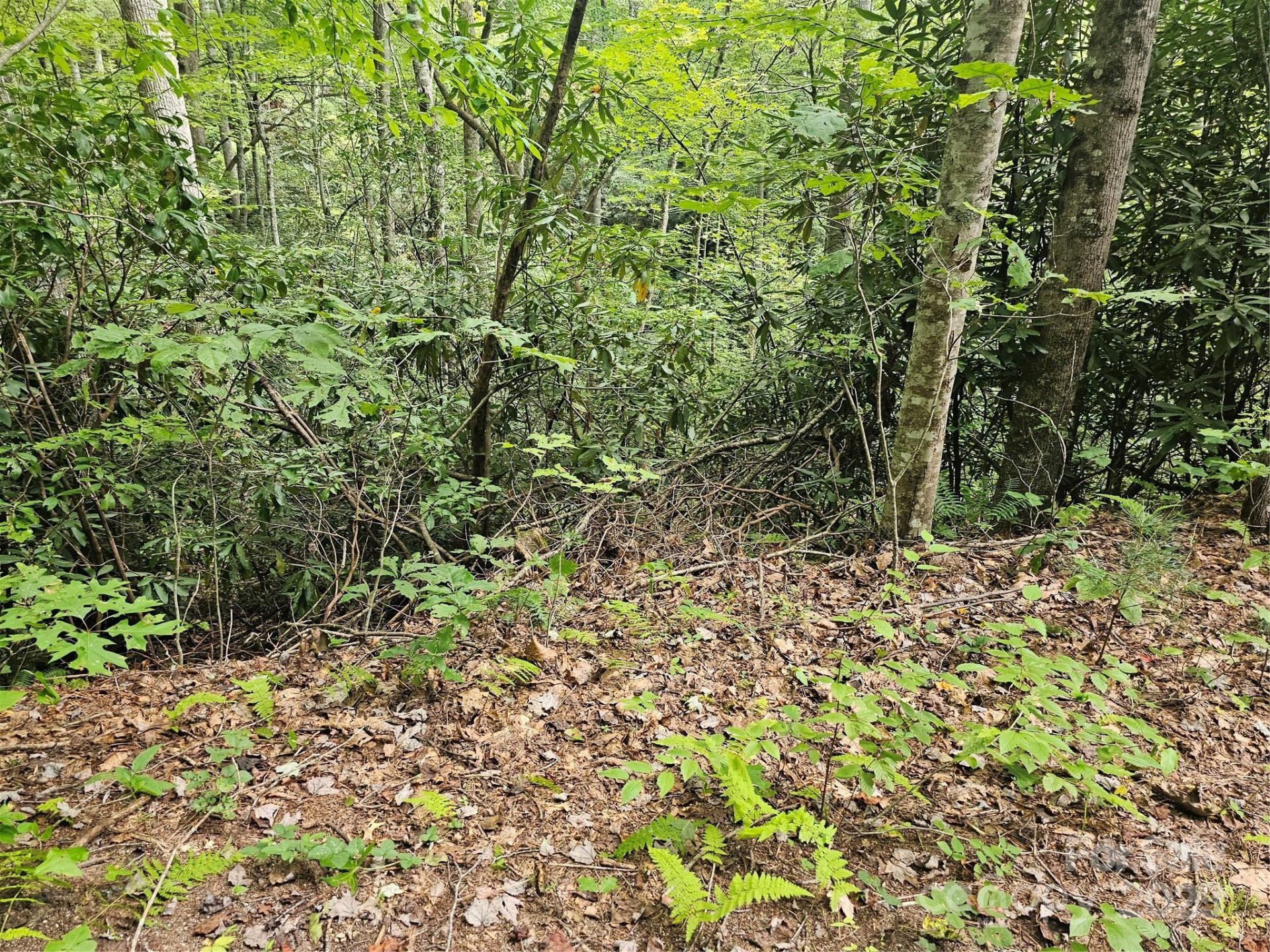 99999 Majestic Trace #25 - Photo 7