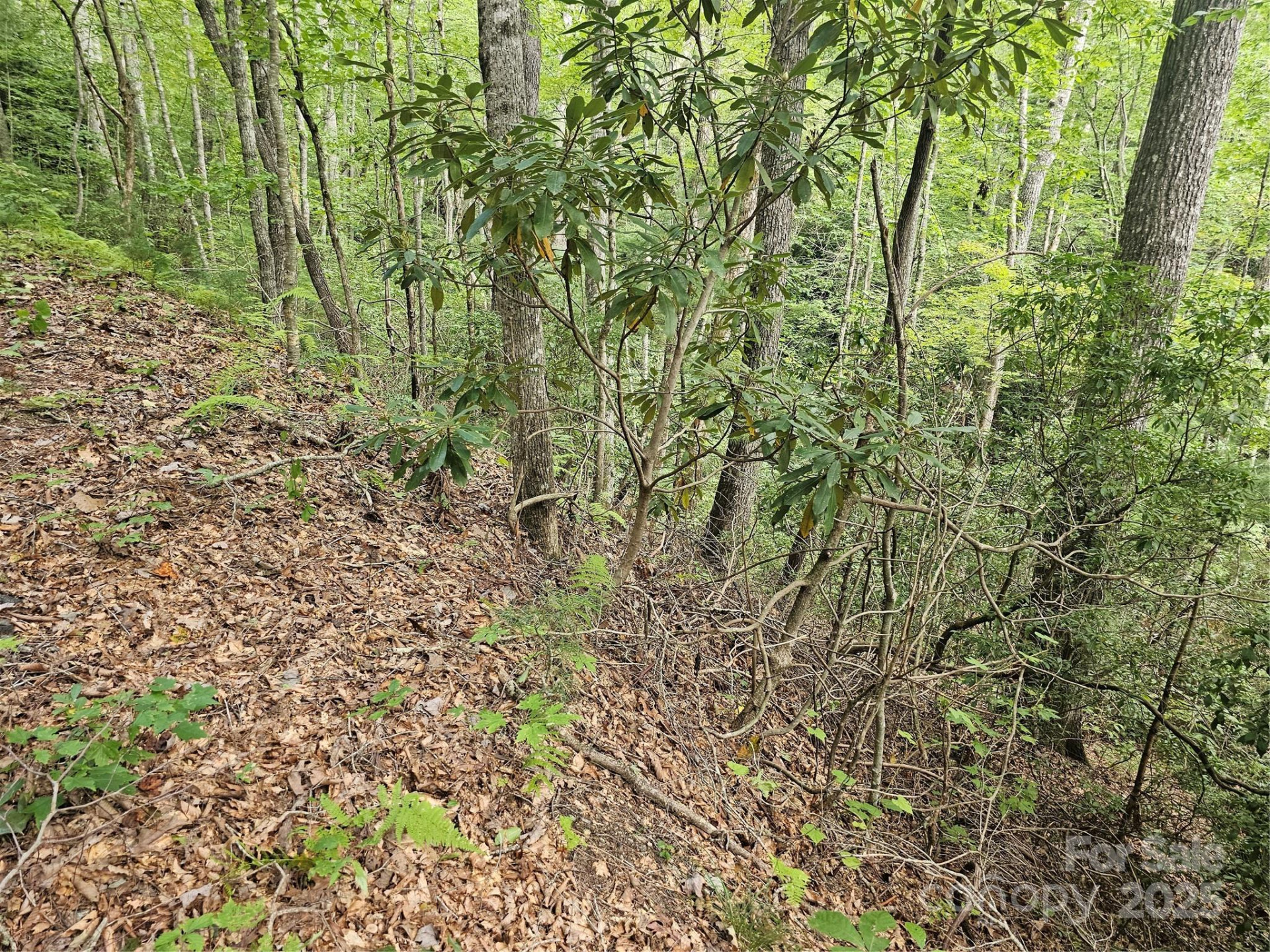 99999 Majestic Trace #25 - Photo 8