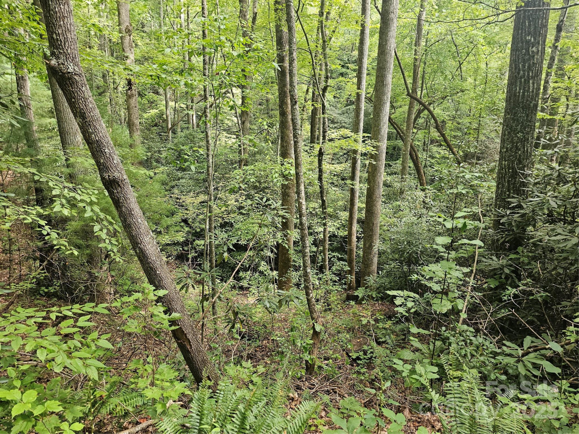 99999 Majestic Trace #25 - Photo 9