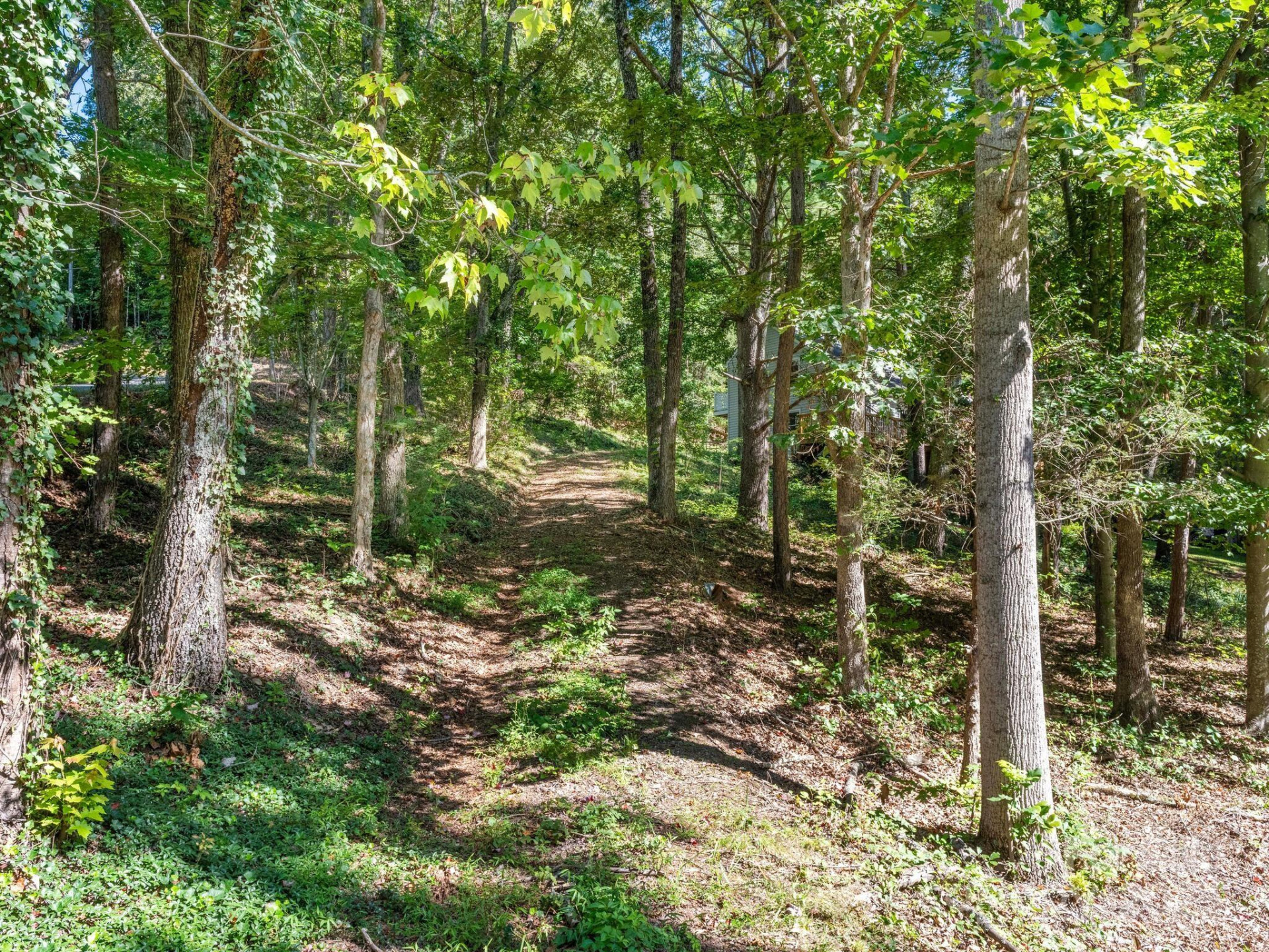 3 Crabapple Lane - Photo 4