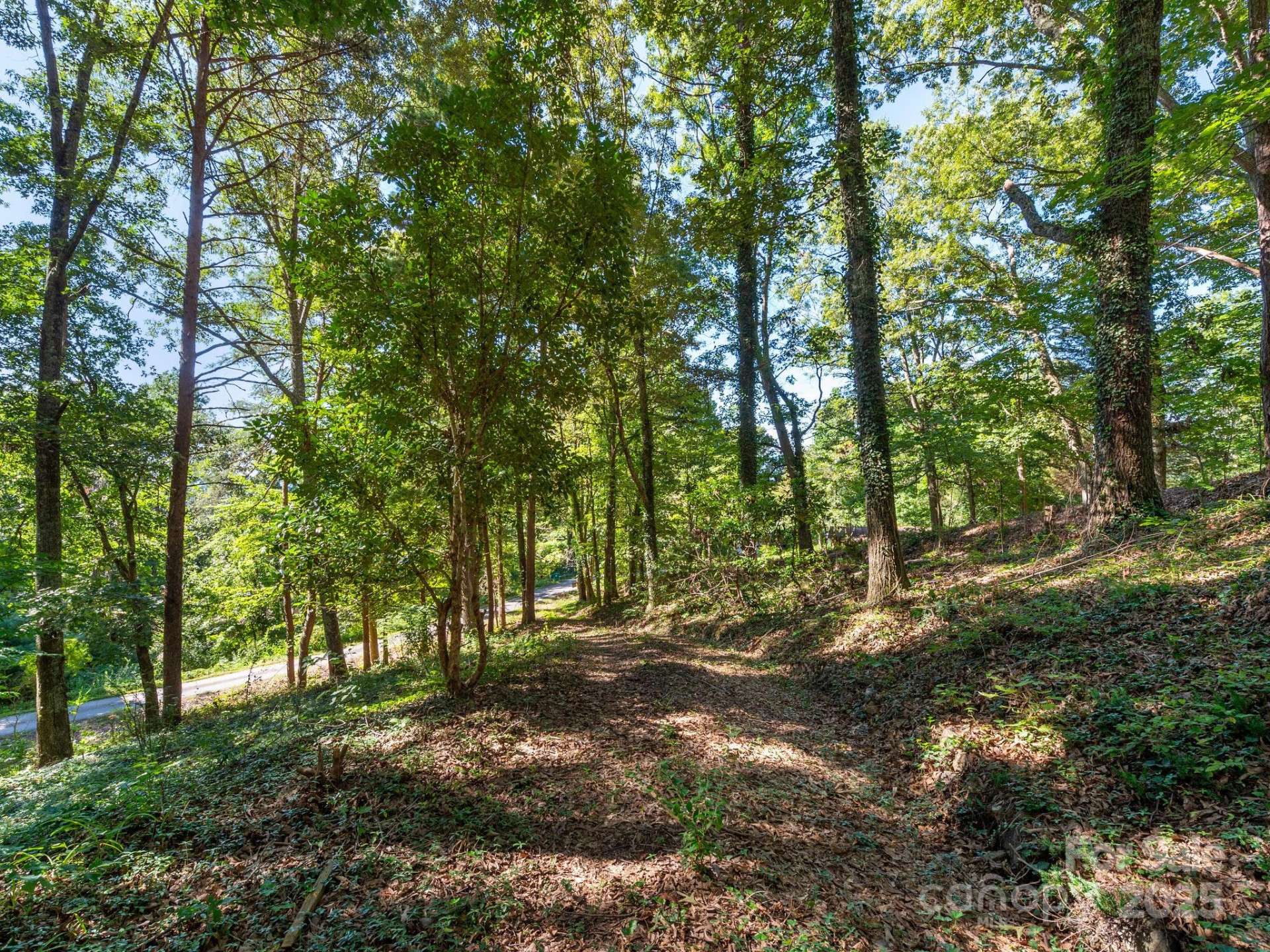 3 Crabapple Lane - Photo 5