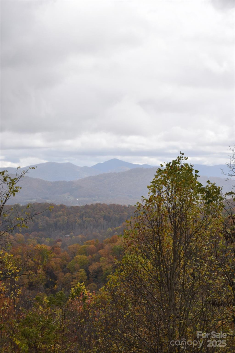 107 Escalante Road #14 - Photo 12