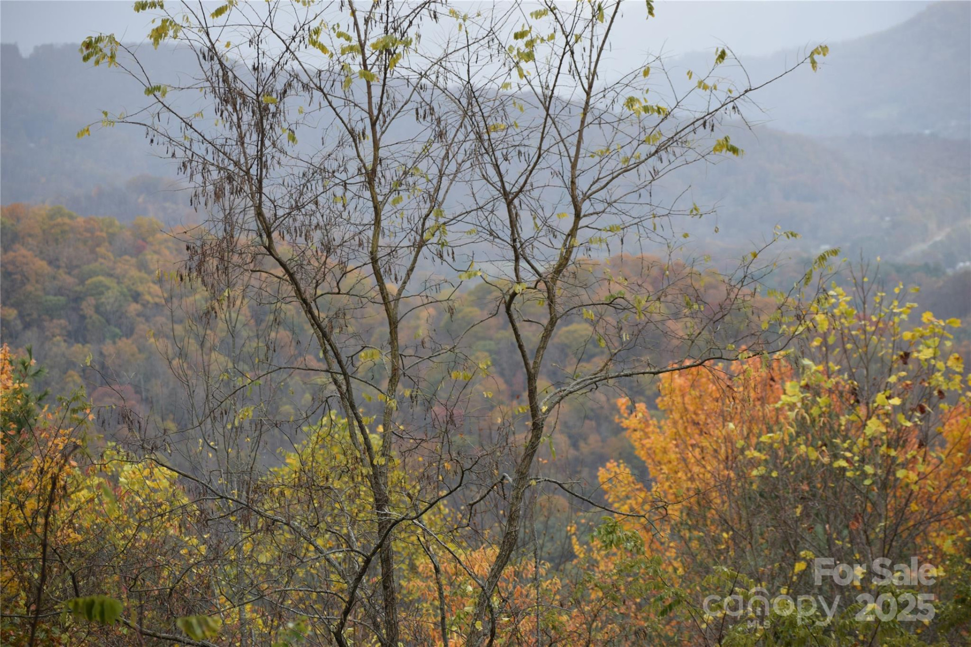 107 Escalante Road #14 - Photo 16