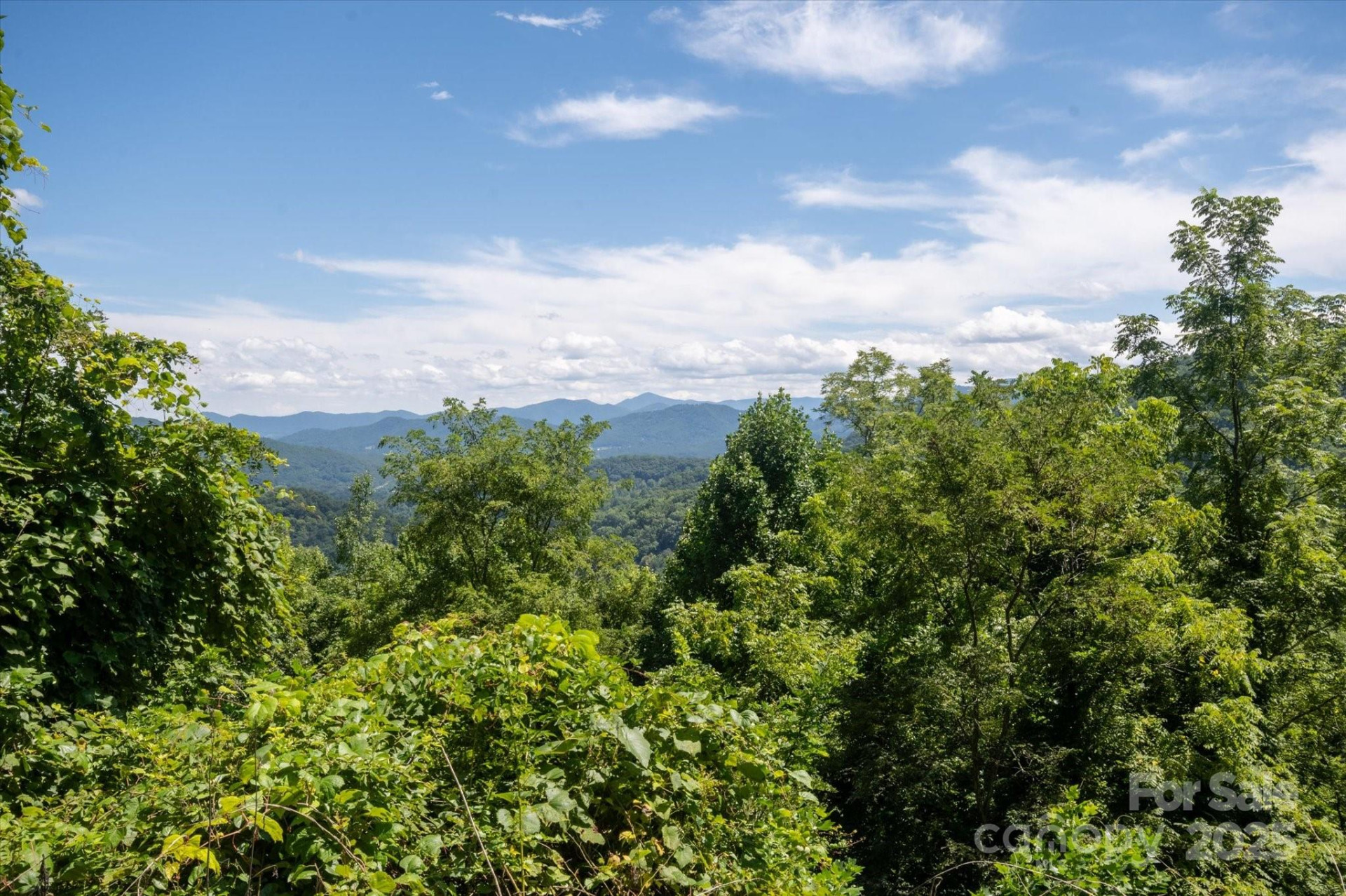 107 Escalante Road #14 - Photo 8