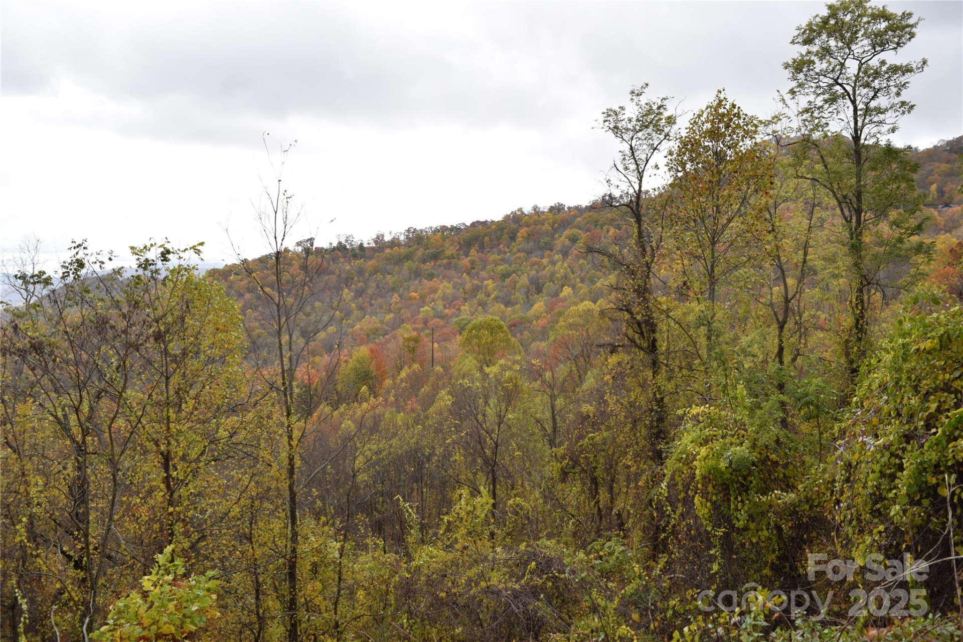 107 Escalante Road #14 - Photo 10