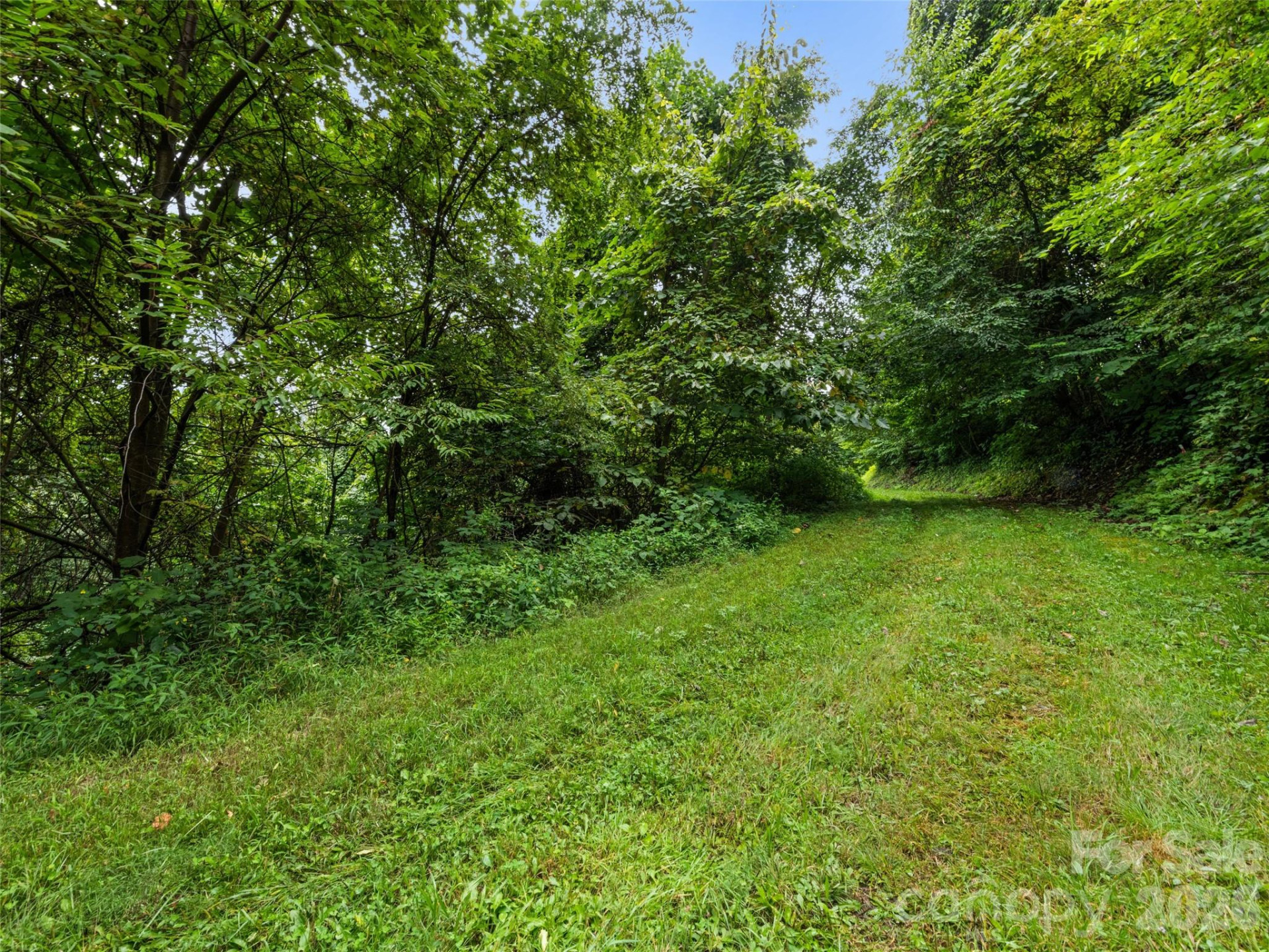 403 Malin Trail - Photo 11