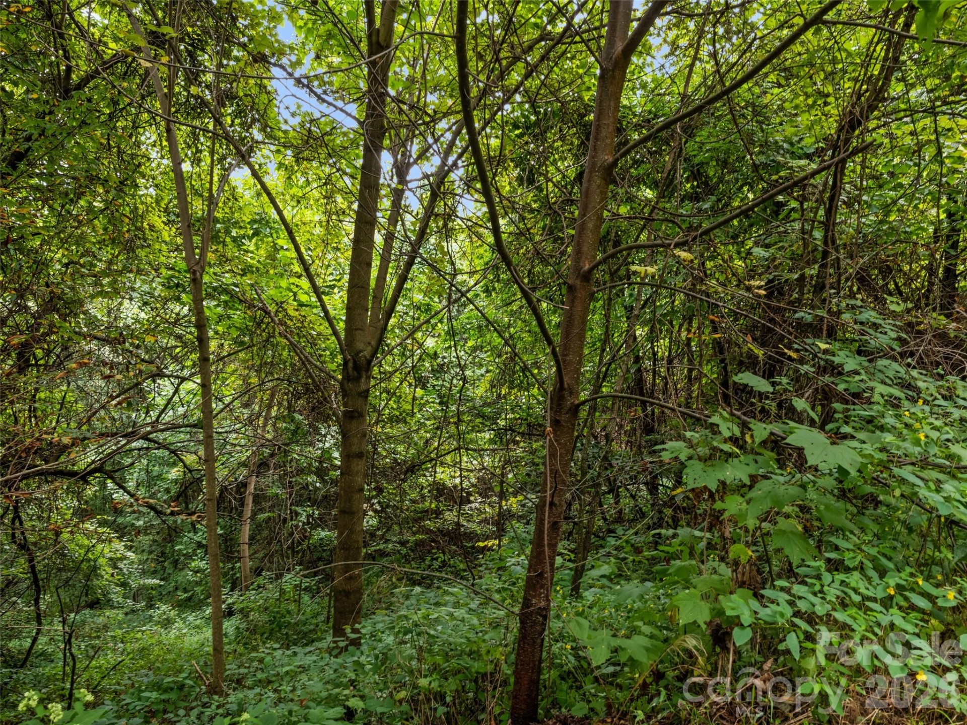 403 Malin Trail - Photo 12