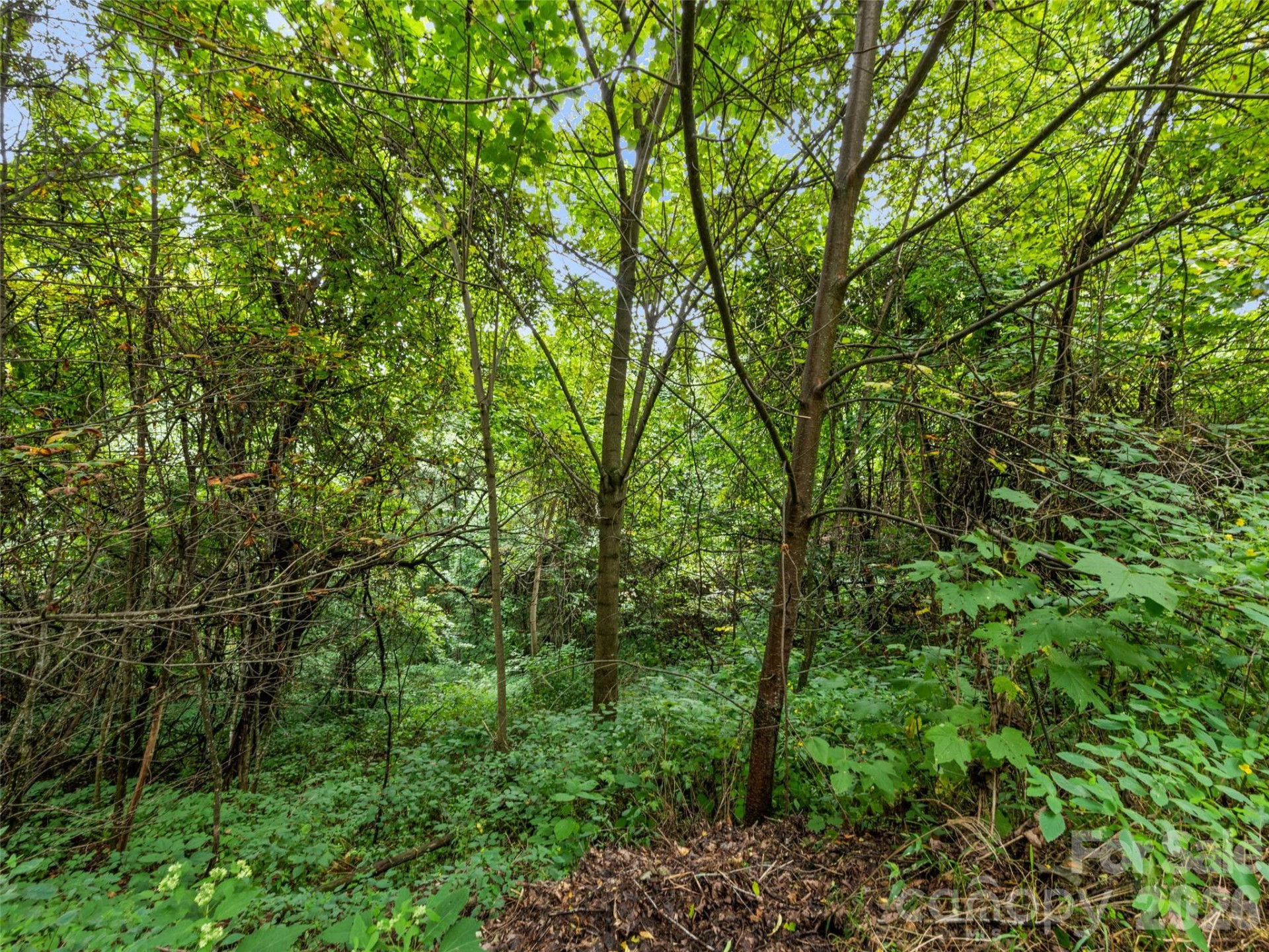 403 Malin Trail - Photo 14