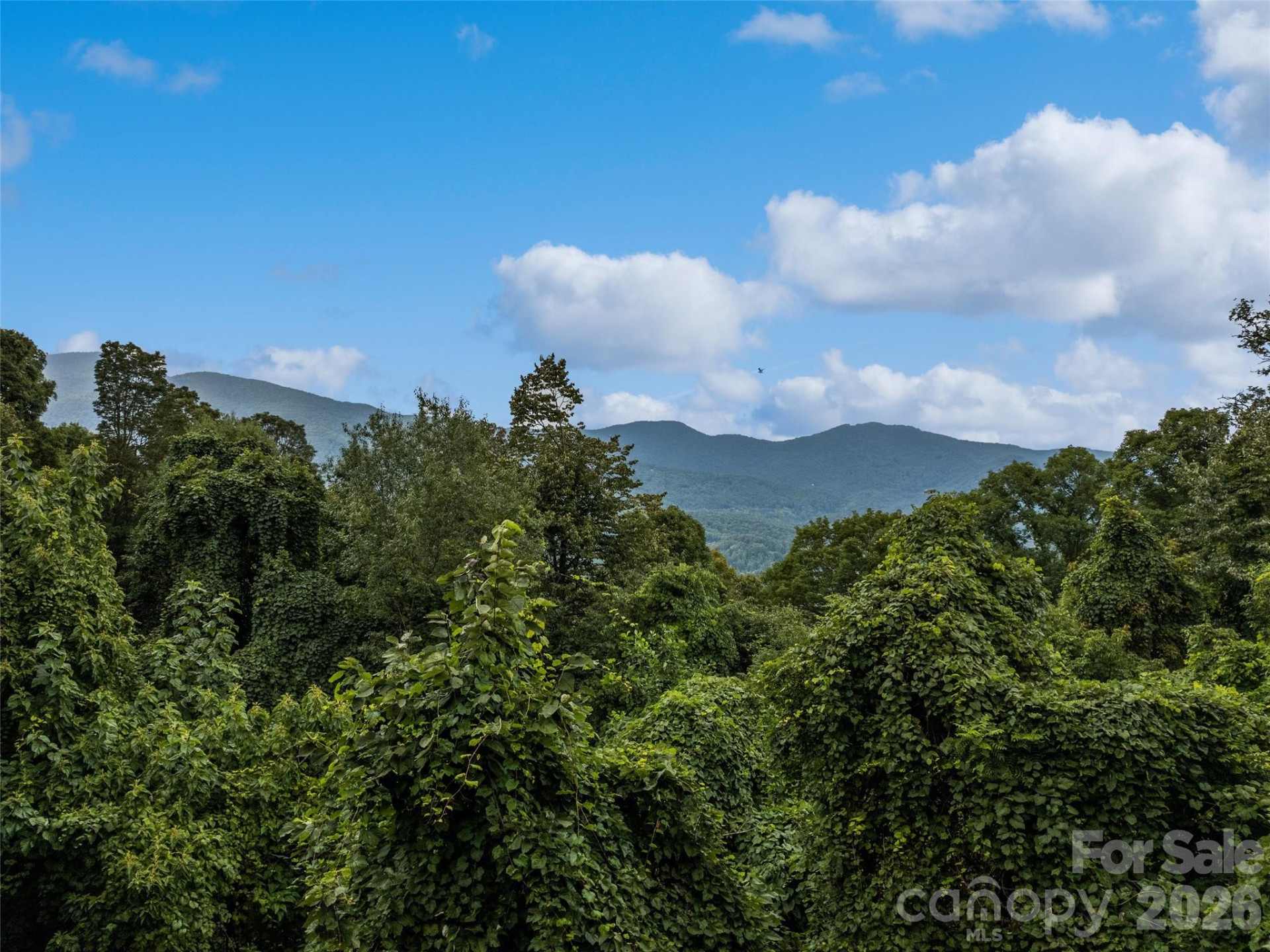 403 Malin Trail - Photo 4