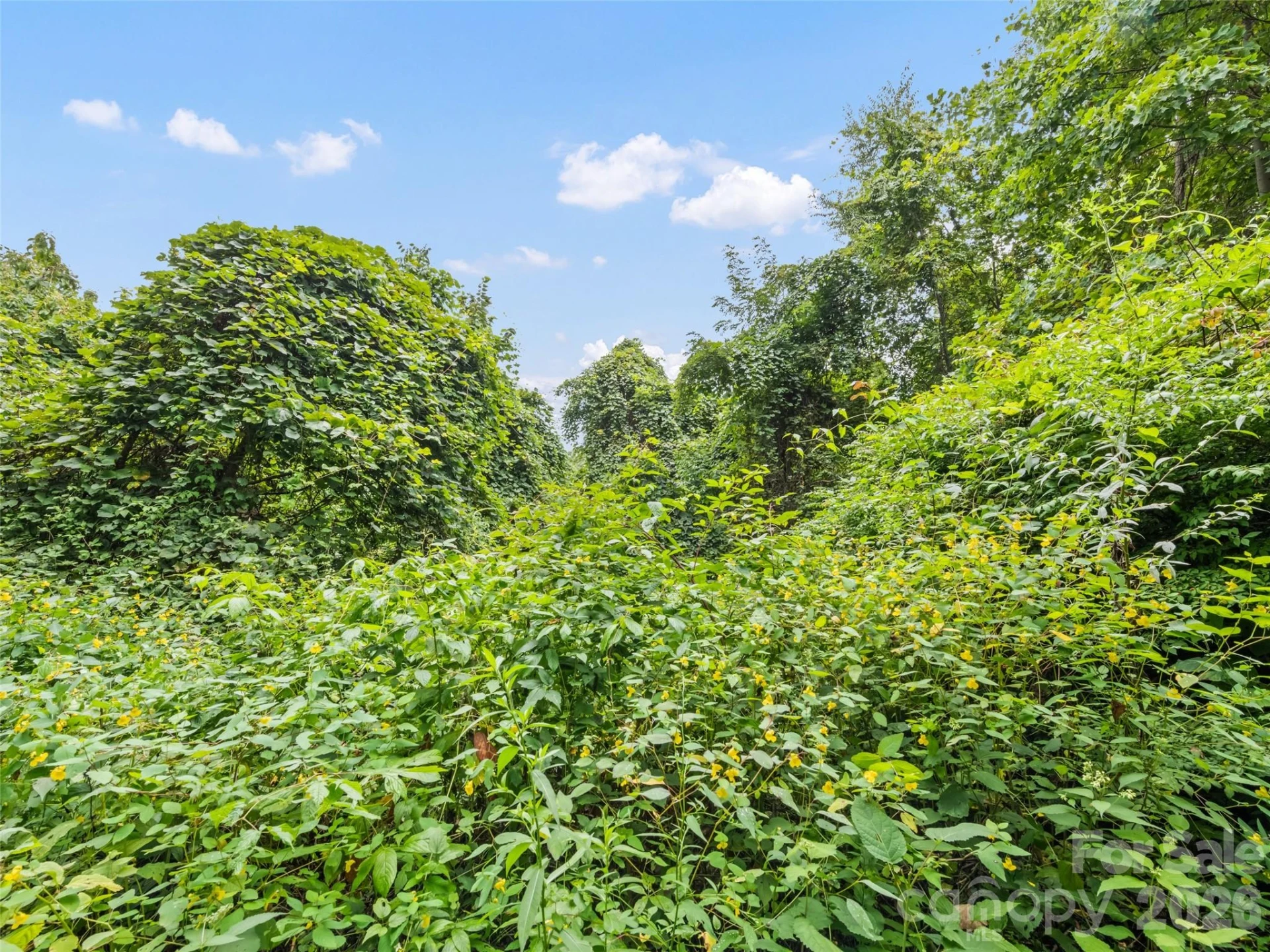 403 Malin Trail - Photo 8