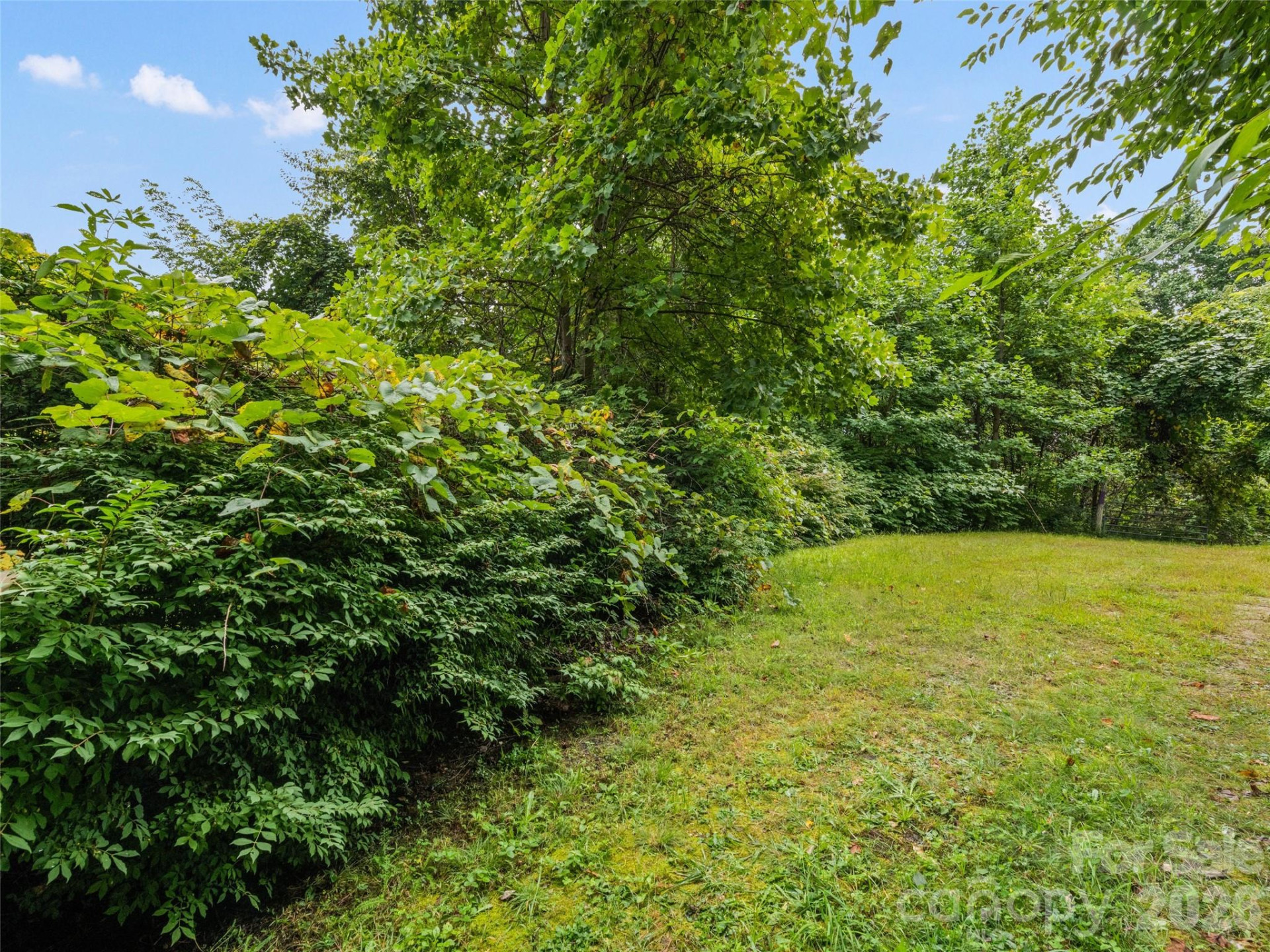 403 Malin Trail - Photo 9