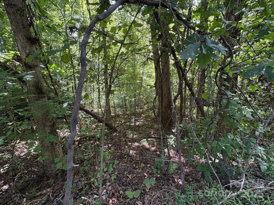 Lots 14,15,24 French Mountain Drive - Photo 12