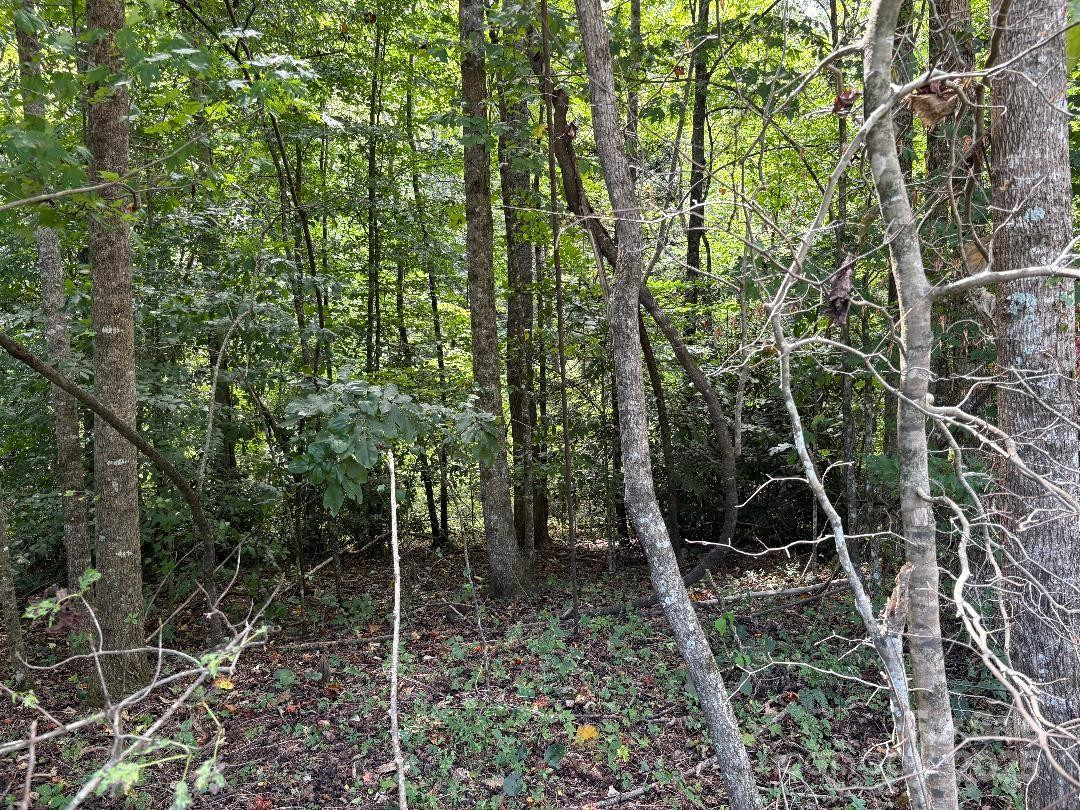 Lots 14,15,24 French Mountain Drive - Photo 13