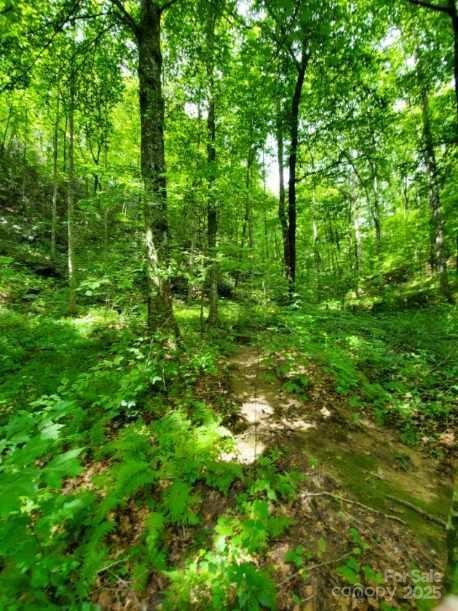 Lots 14,15,24 French Mountain Drive - Photo 14