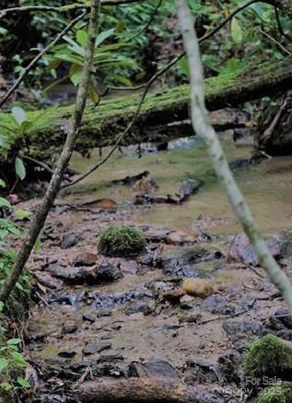 Lots 14,15,24 French Mountain Drive - Photo 15