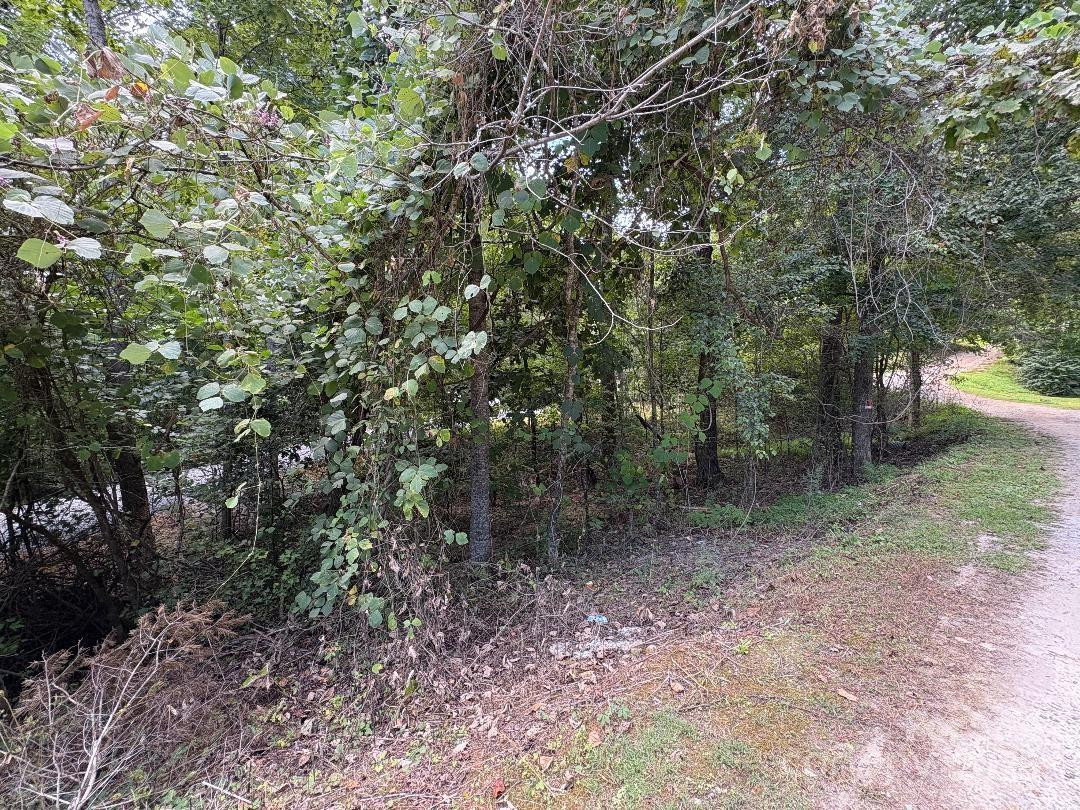 Lots 14,15,24 French Mountain Drive - Photo 16