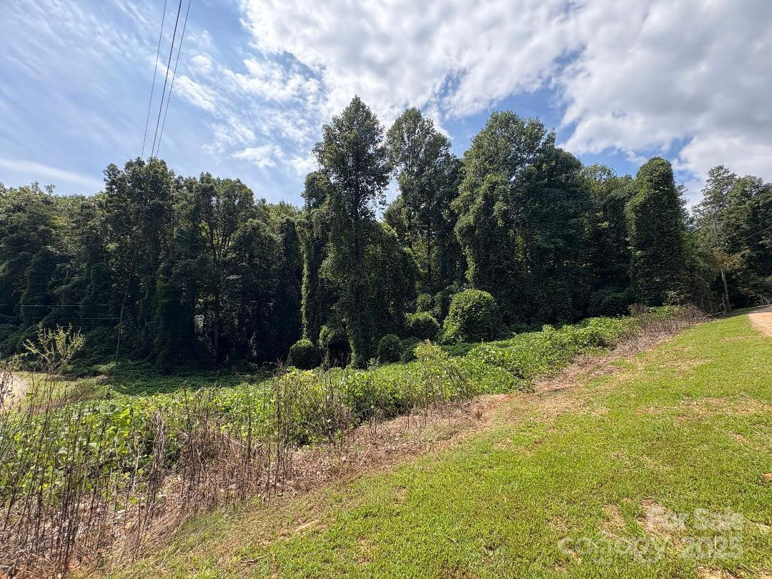 Lots 14,15,24 French Mountain Drive - Photo 17