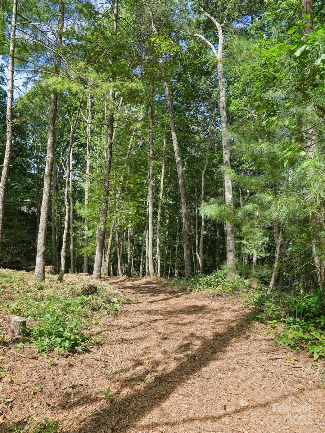 11 Tahchee Trail - Photo 41