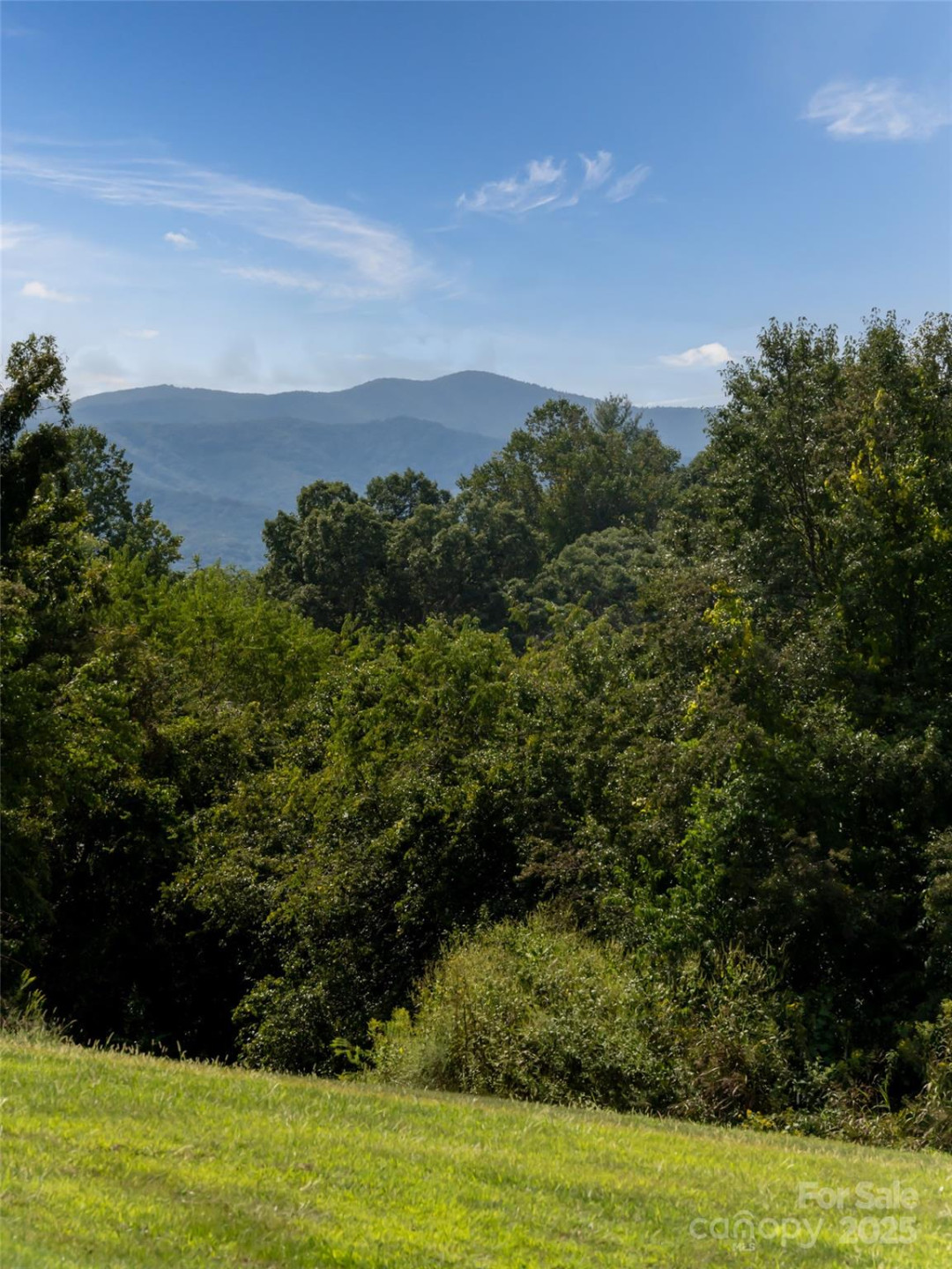 202 Soapstone Trail #68 - Photo 9