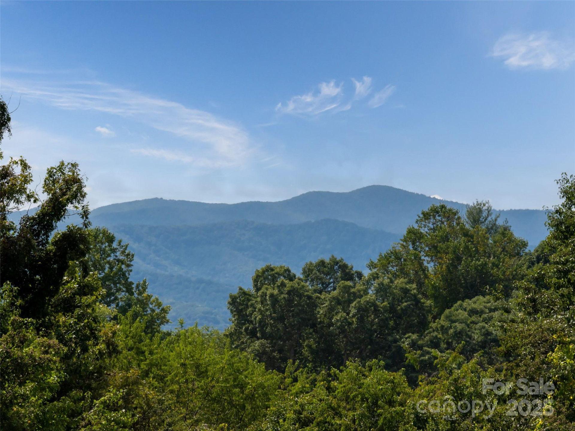 202 Soapstone Trail #68 - Photo 10